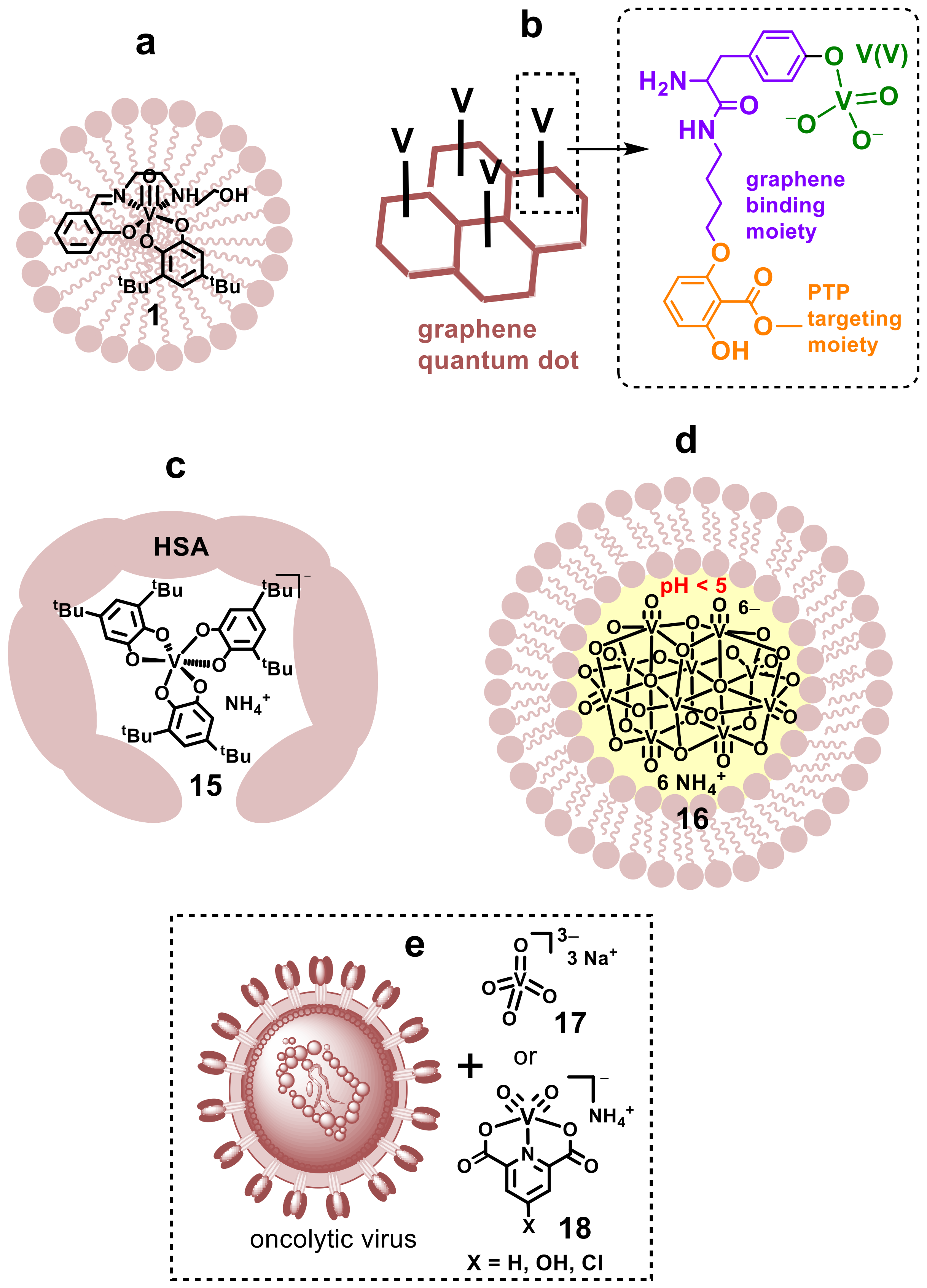 Pharmaceutics 14 00790 g007