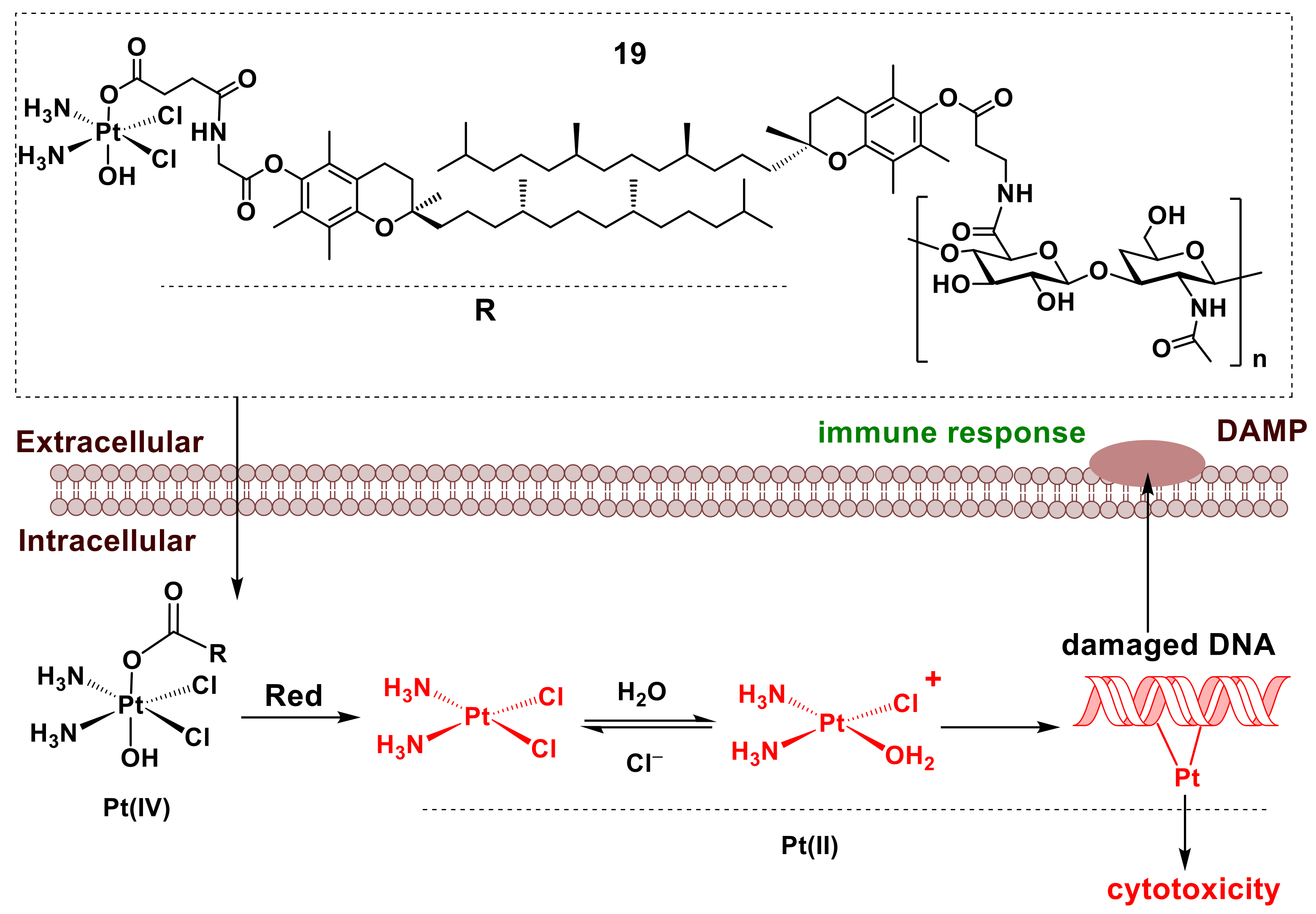Pharmaceutics 14 00790 g008