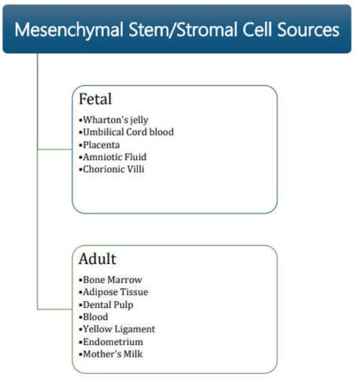 Pharmaceutics | Free Full-Text | Mesenchymal Stem/Stromal Cells In ...