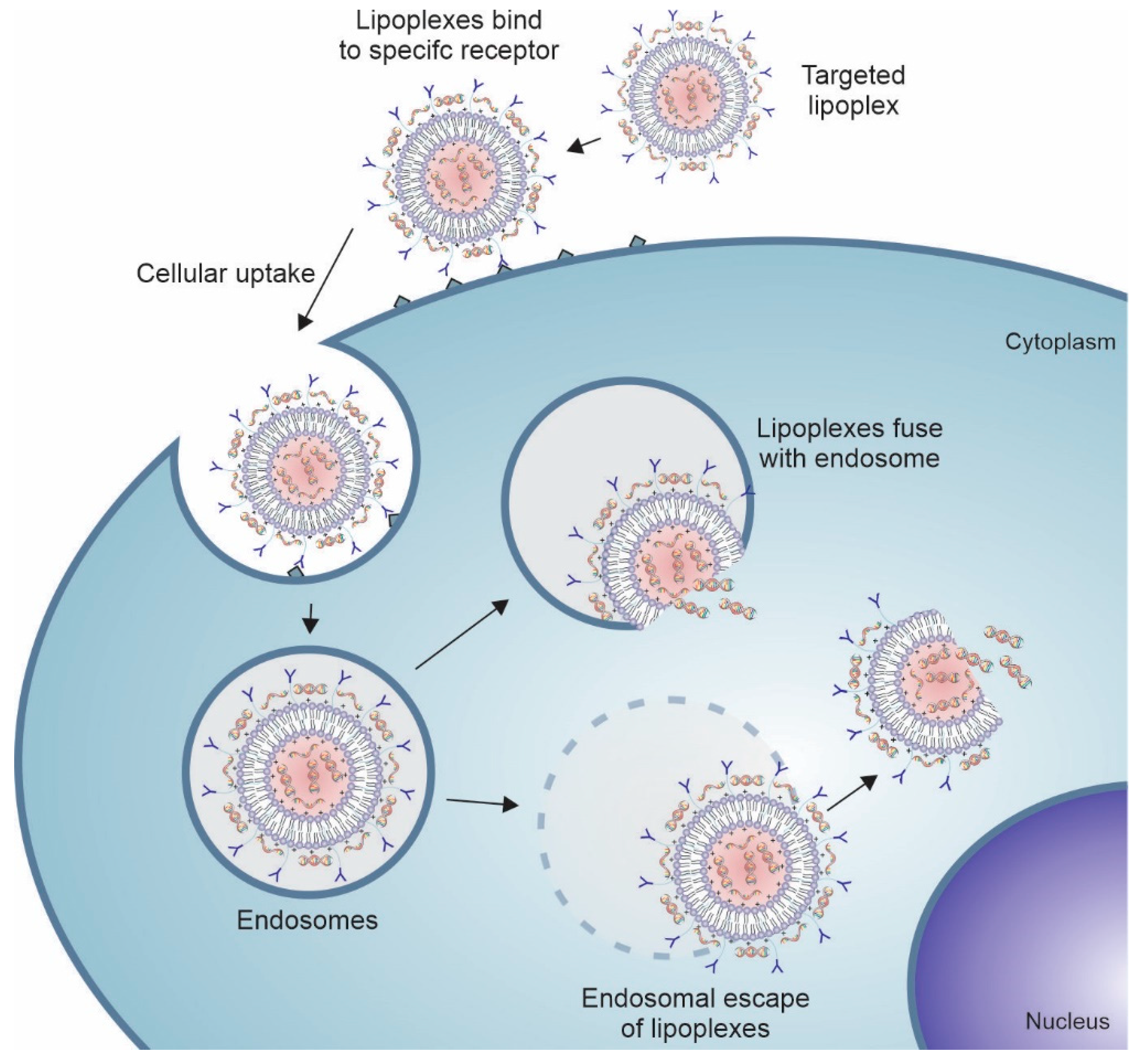 Pharmaceutics 14 00821 g003