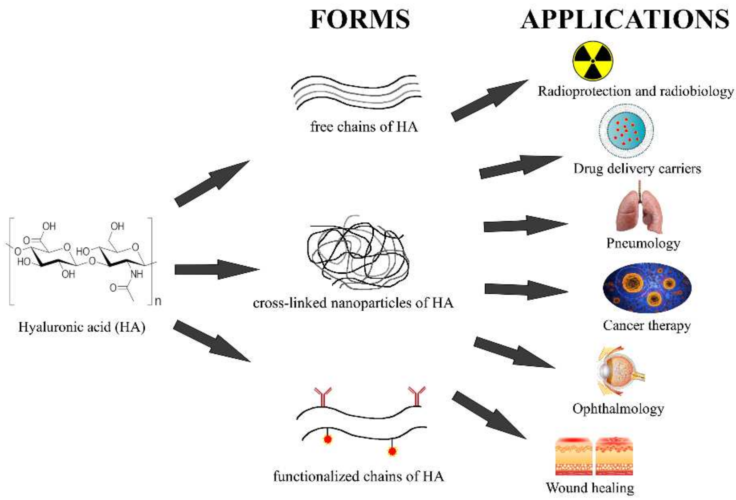 Pharmaceutics 14 00838 g004
