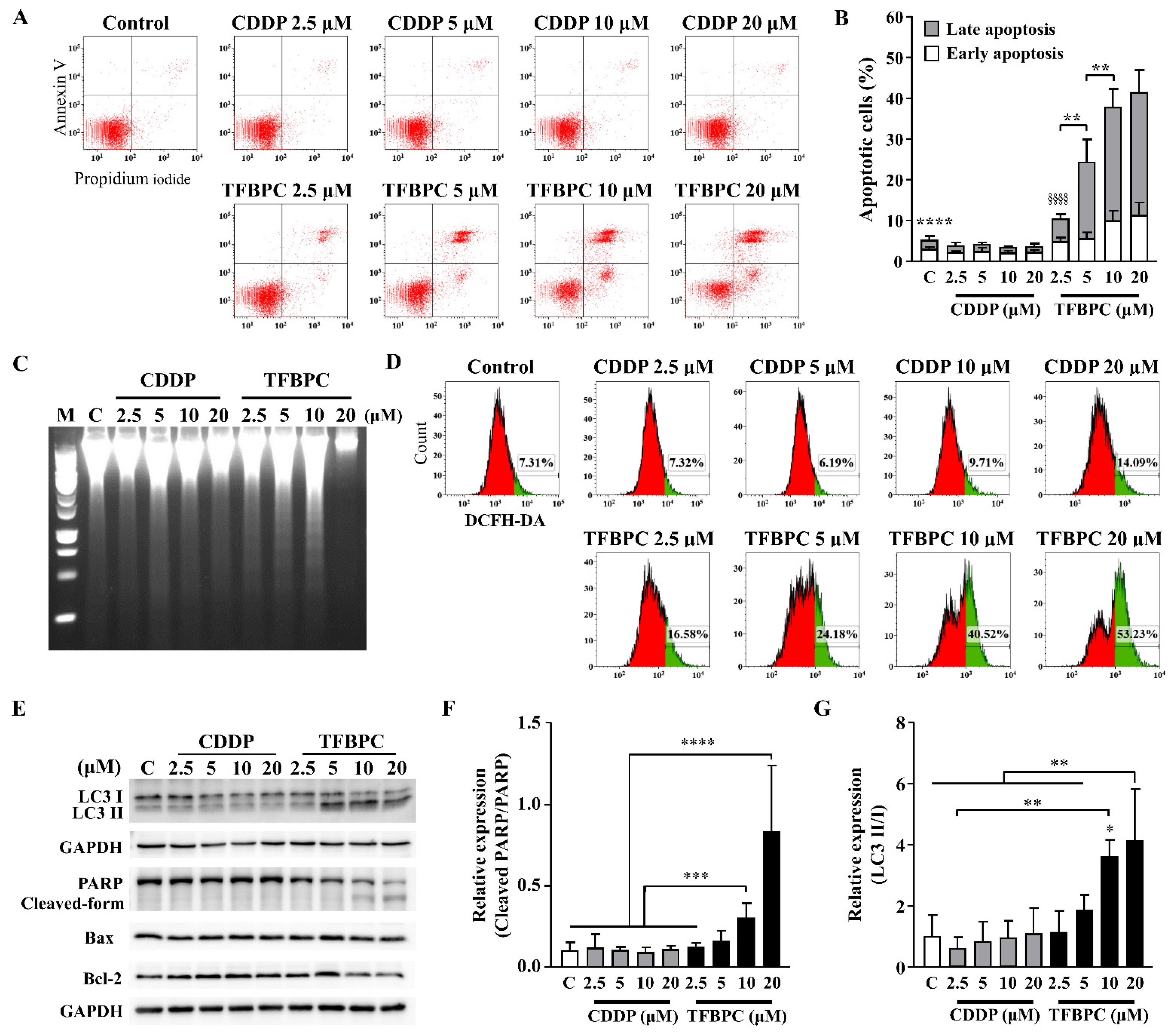 Pharmaceutics 14 00839 g004