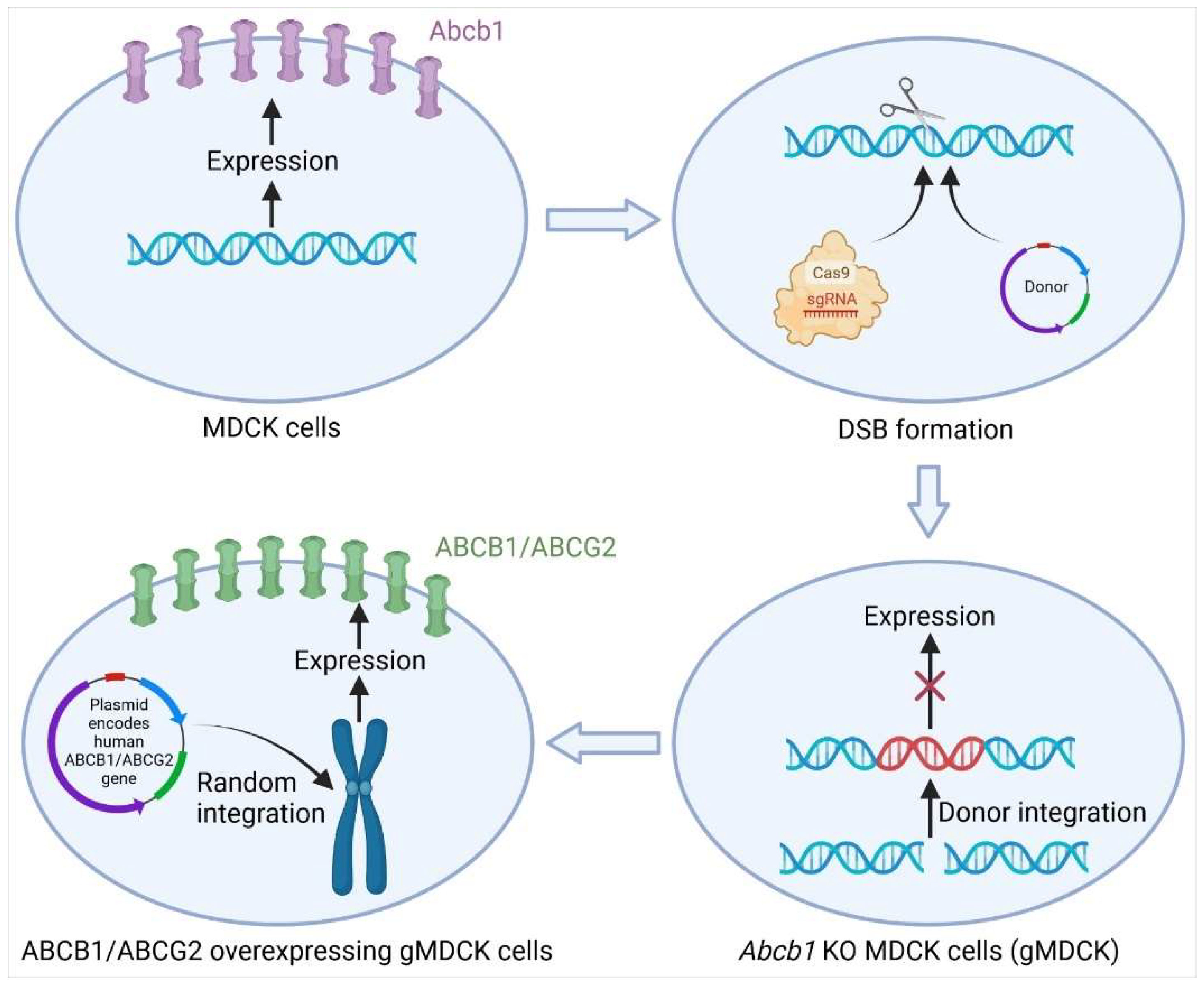 Pharmaceutics 14 00894 g002
