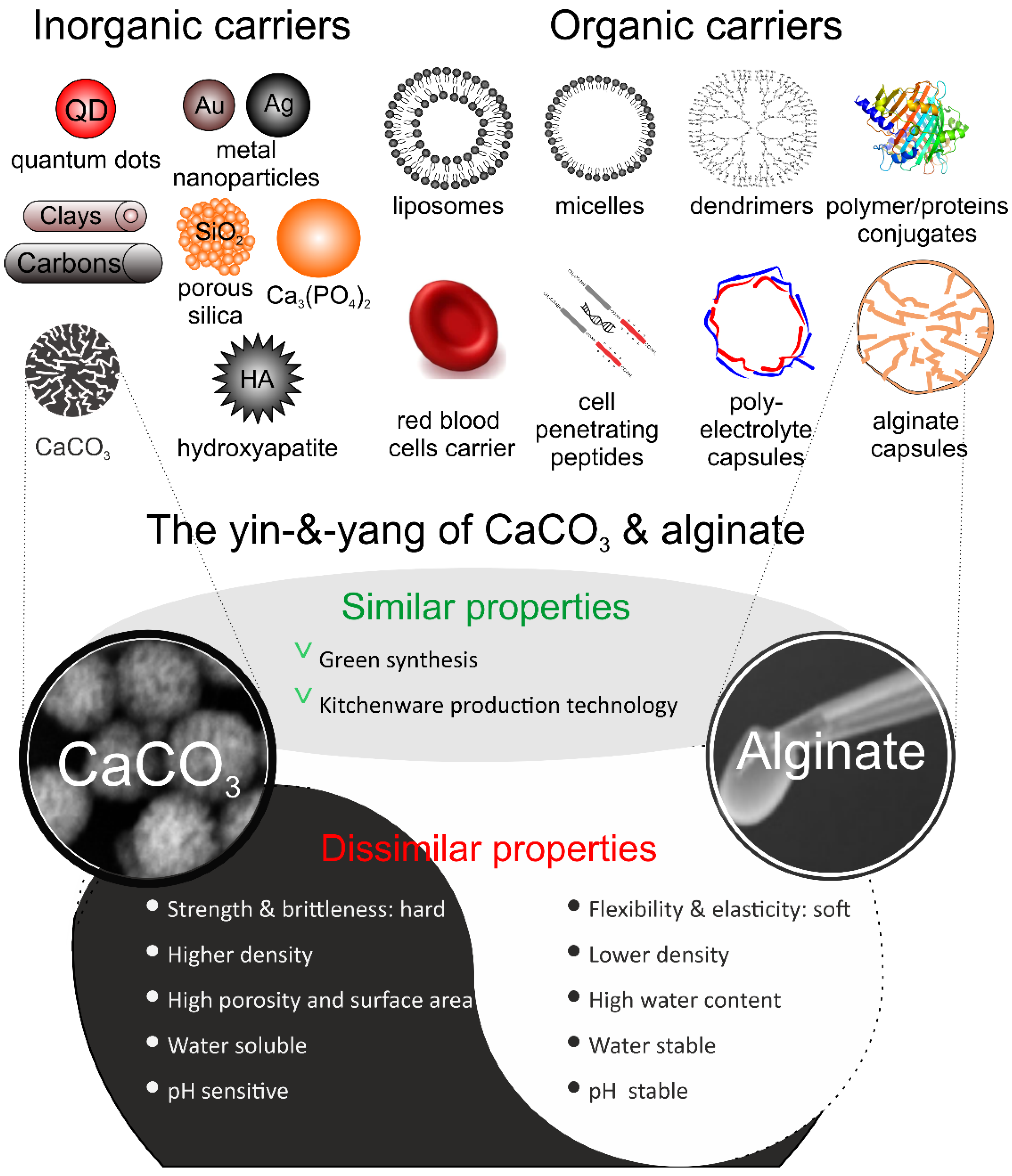 Pharmaceutics | Free Full-Text | Hard, Soft, and Hard-and-Soft Drug  Delivery Carriers Based on CaCO3 and Alginate Biomaterials: Synthesis,  Properties, Pharmaceutical Applications