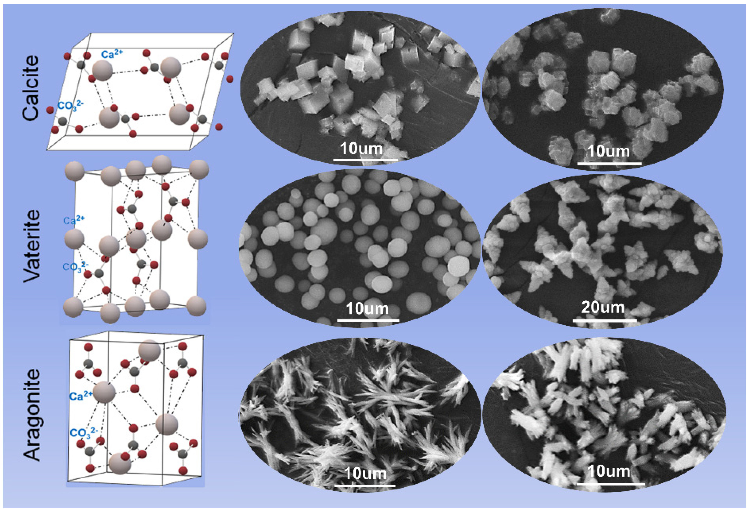 a Unit cell of calcium carbonate (calcite, CaCO3) showing partial