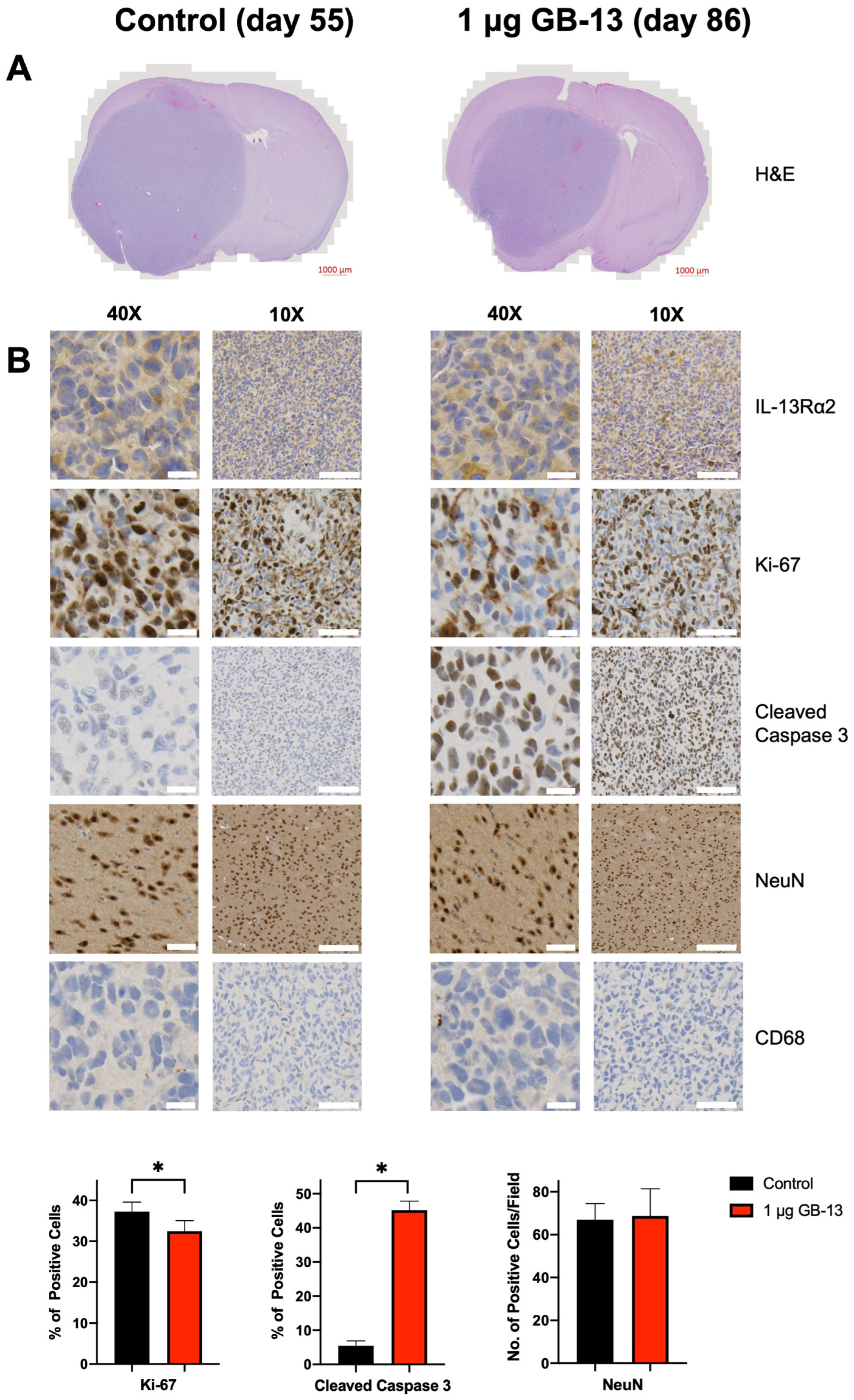 Pharmaceutics 14 00922 g004