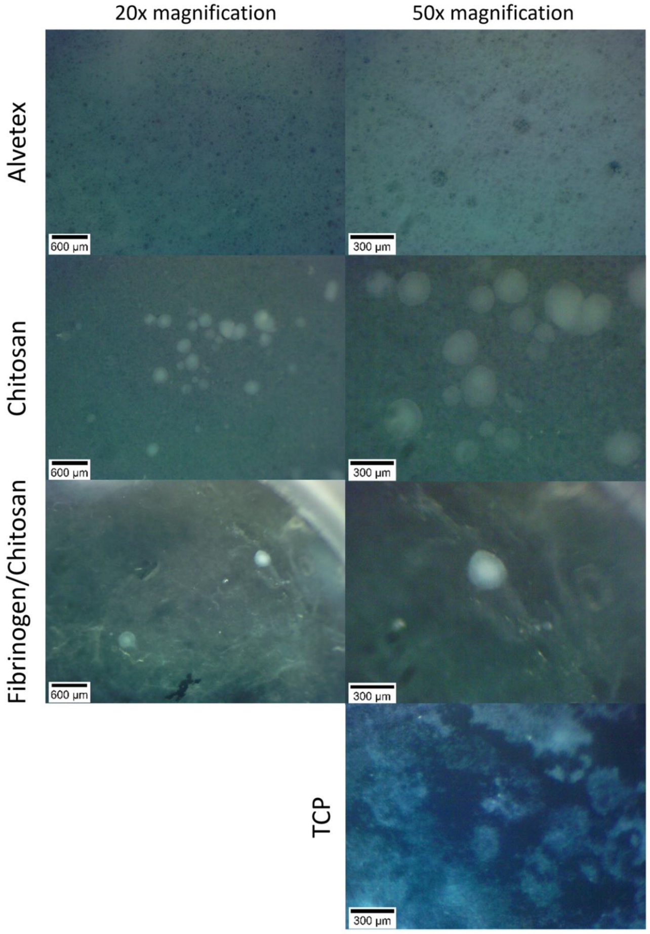 Pharmaceutics 14 00941 g003