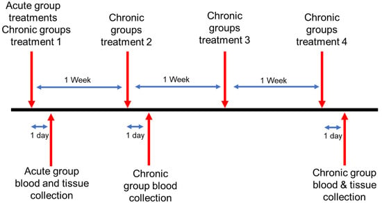 Pharmaceutics | Free Full-Text | Toxicity Assessment of Mesoporous ...