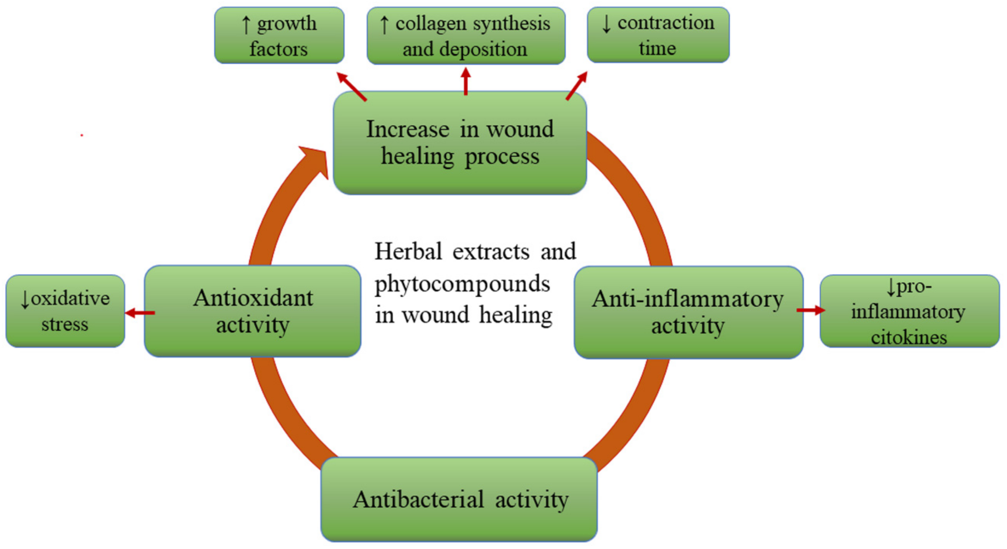 Pharmaceutics 14 00991 g002