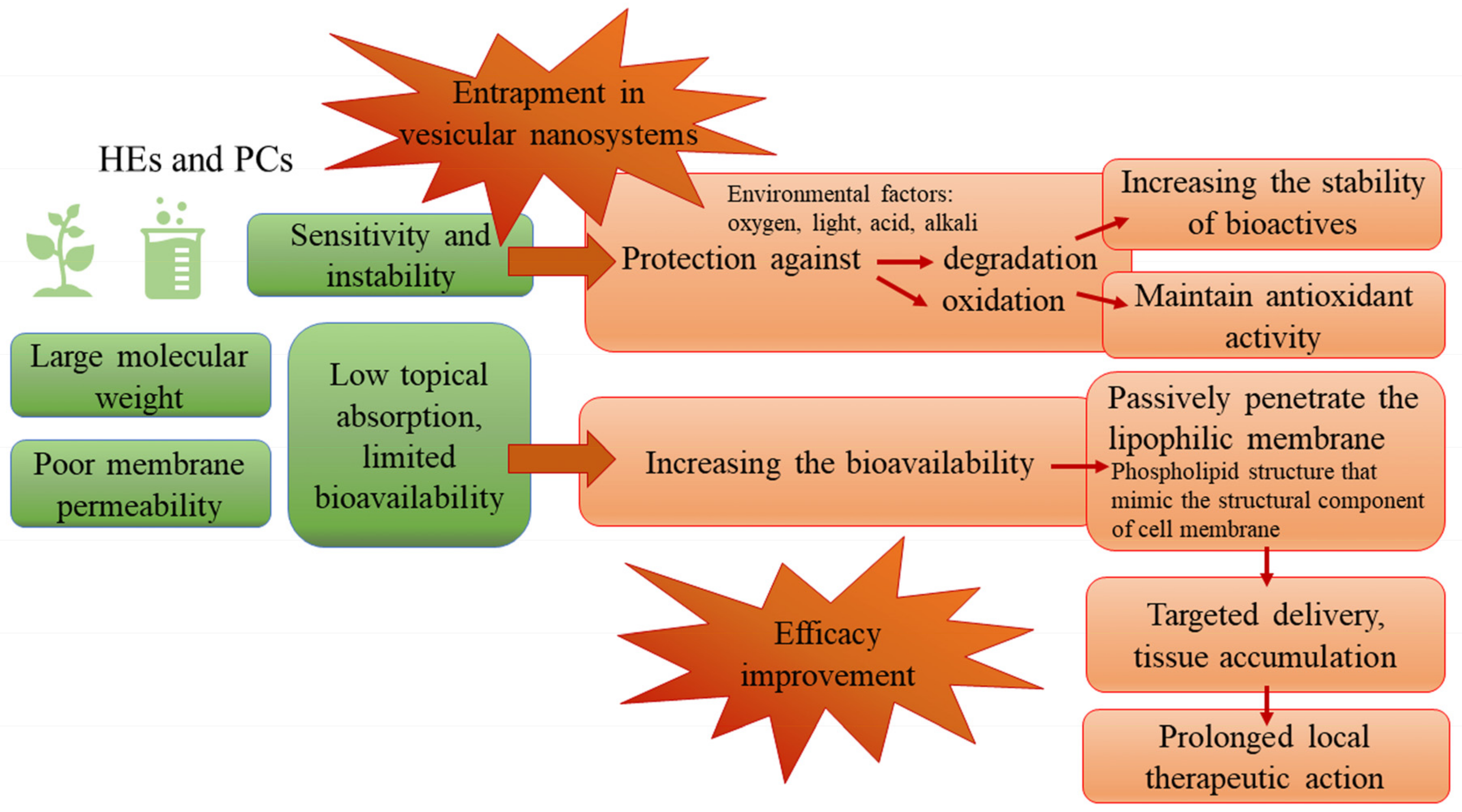 Pharmaceutics 14 00991 g003
