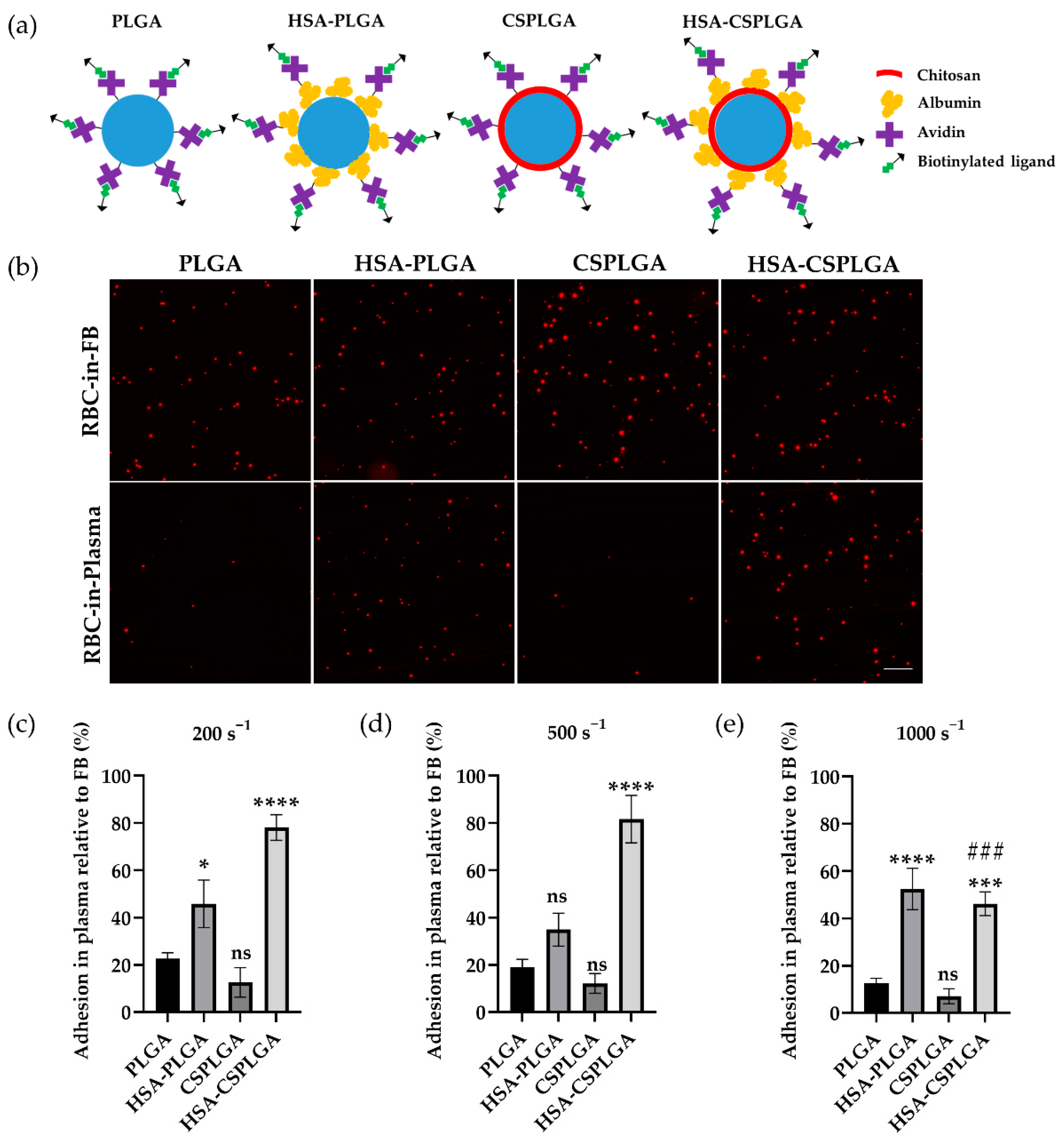 Pharmaceutics 14 01018 g001