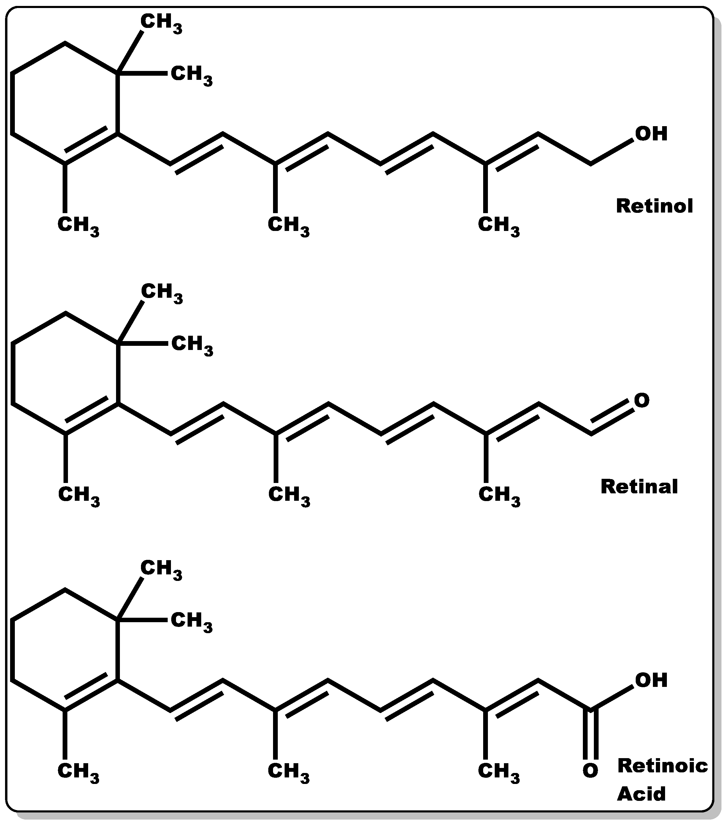 Pharmaceutics 14 01021 g006 Pharmaceutics 14 01021 g006