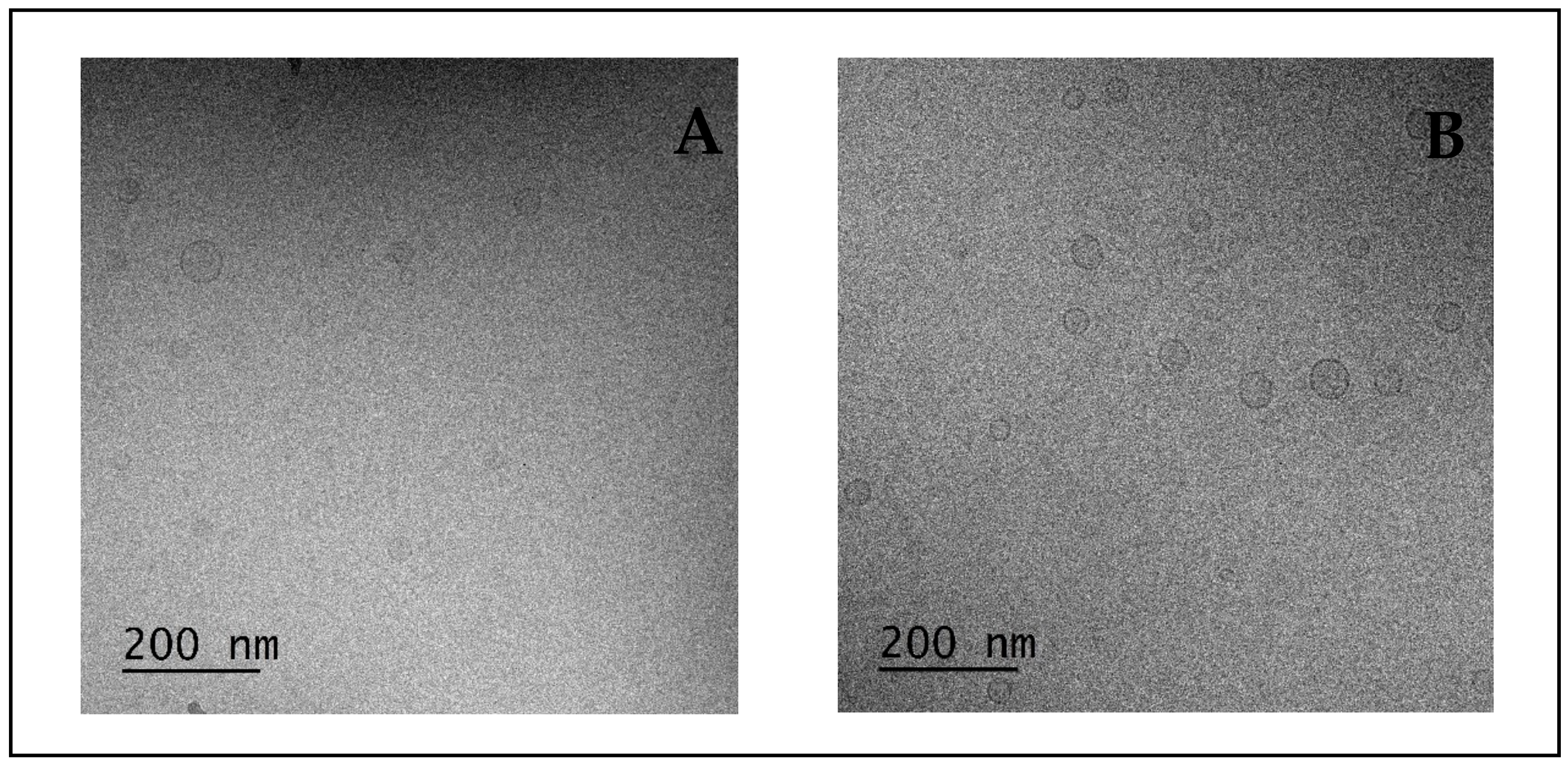 Pharmaceutics 14 01029 g004 Pharmaceutics 14 01029 g004