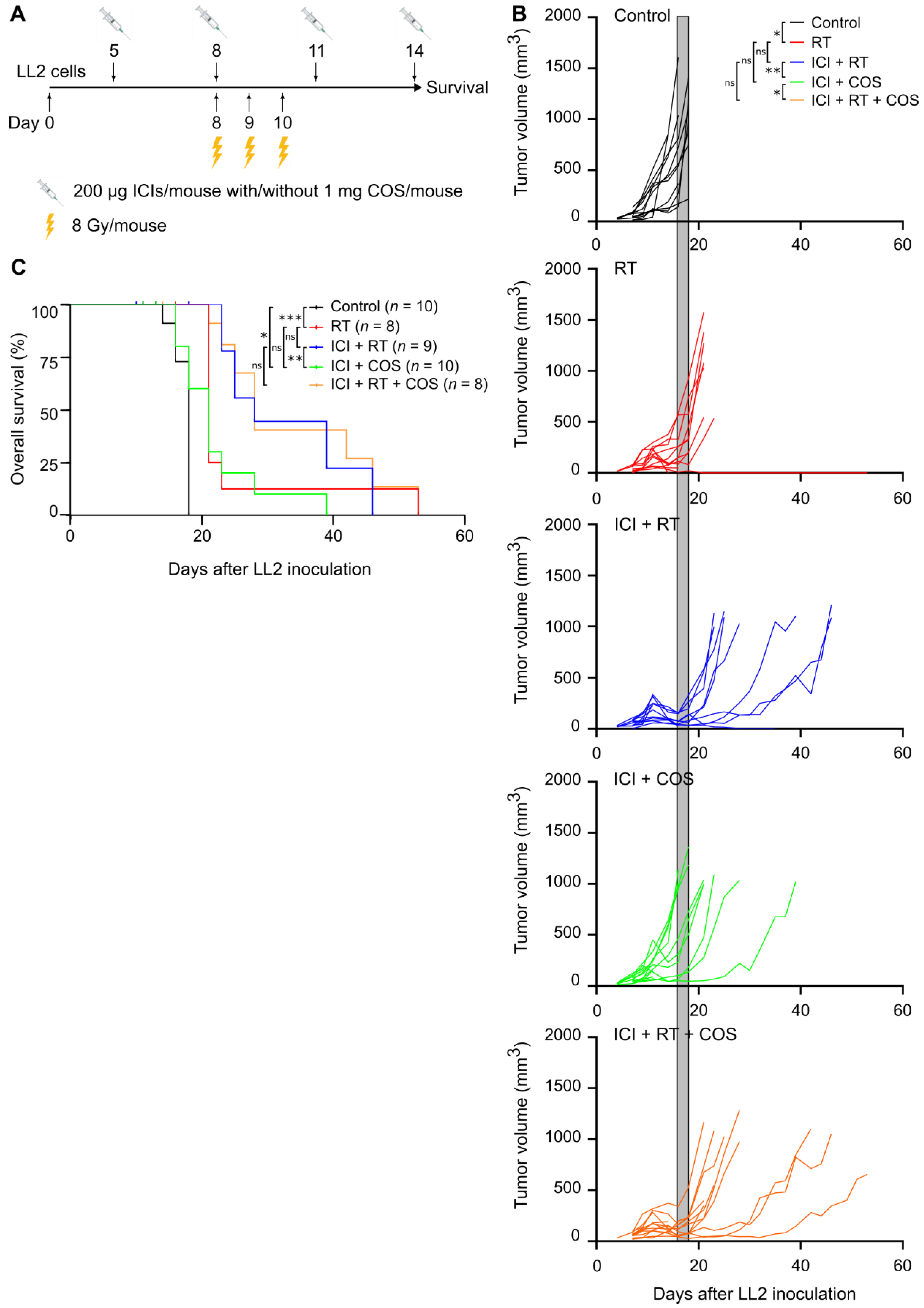 Pharmaceutics 14 01046 g004 Pharmaceutics 14 01046 g004