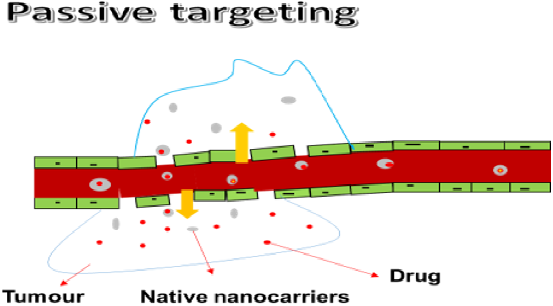 Pharmaceutics 14 01048 g001 Pharmaceutics 14 01048 g001