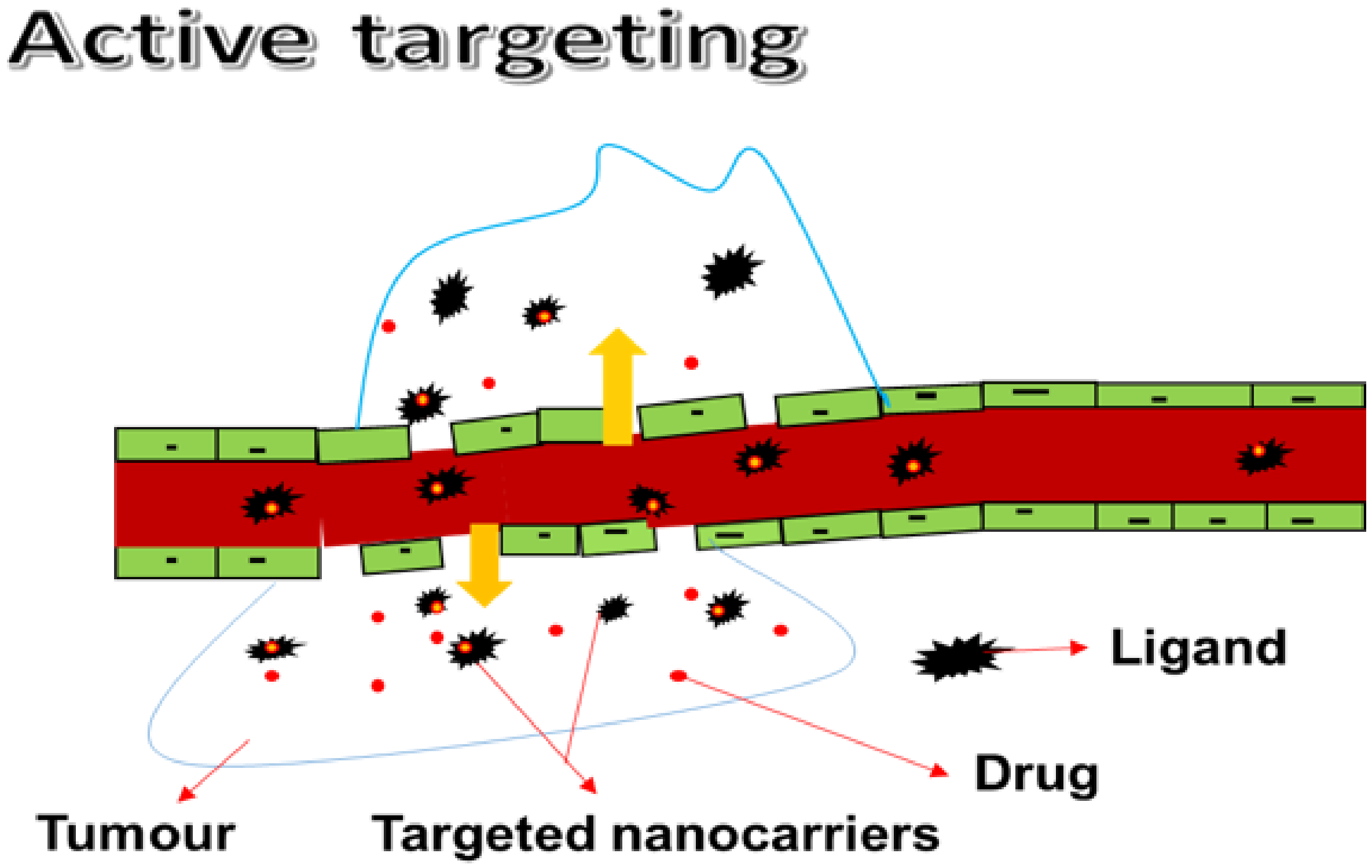 Pharmaceutics 14 01048 g002 Pharmaceutics 14 01048 g002
