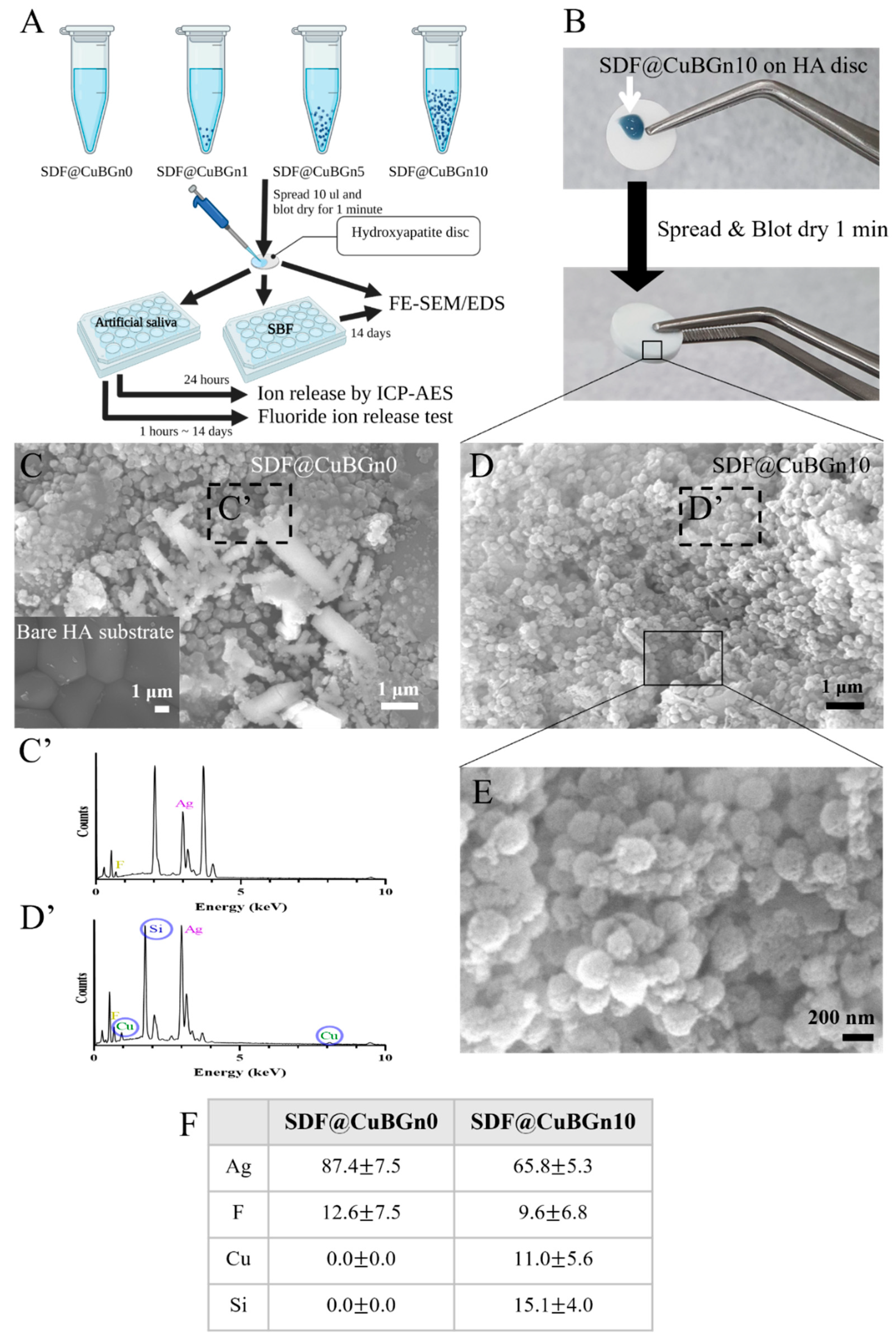 Pharmaceutics 14 01137 g002