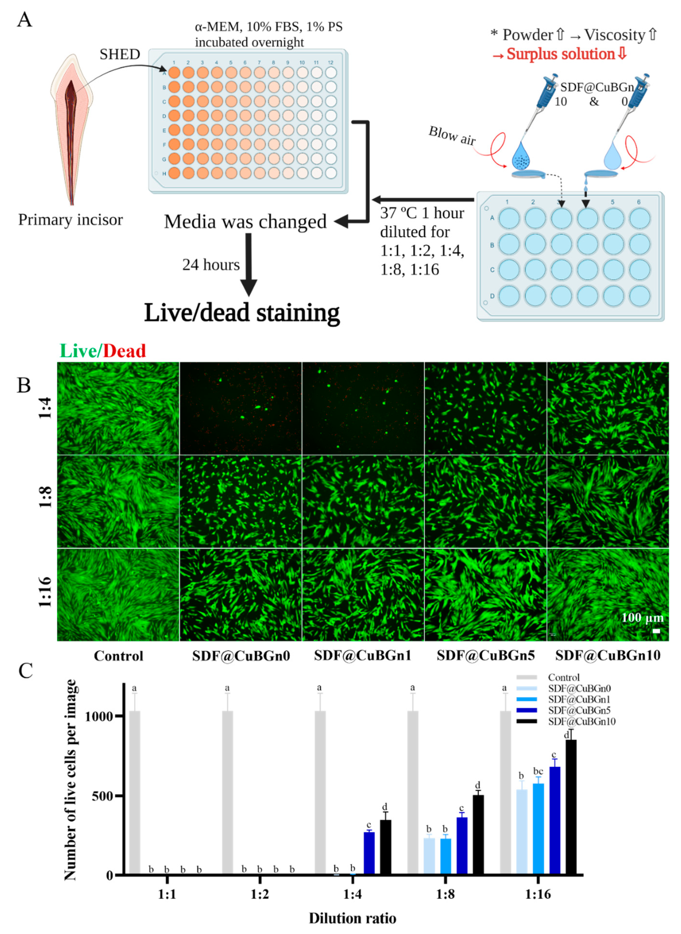 Pharmaceutics 14 01137 g005