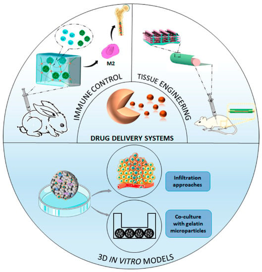 Pharmaceutics | Free Full-Text | Progress In Gelatin As Biomaterial For ...