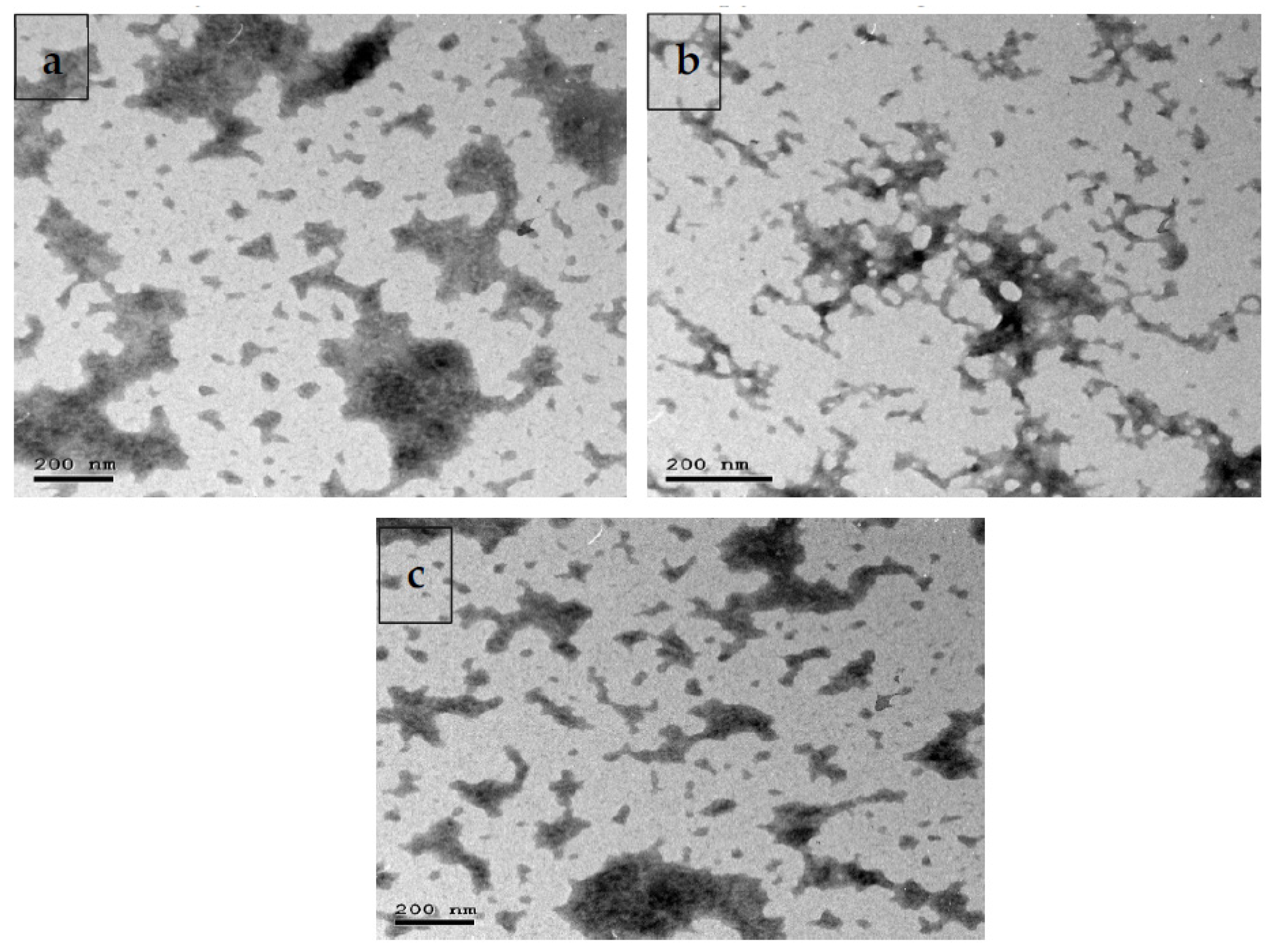 Pharmaceutics 14 01183 g001