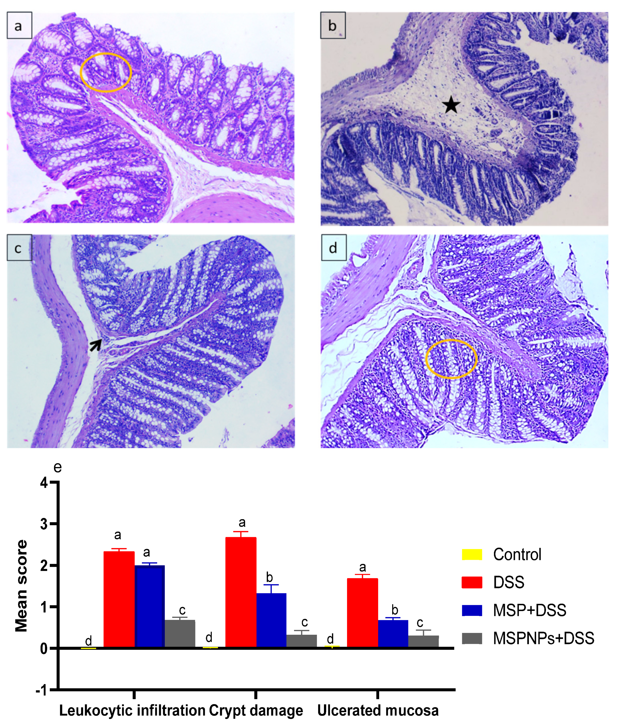 Pharmaceutics 14 01183 g007