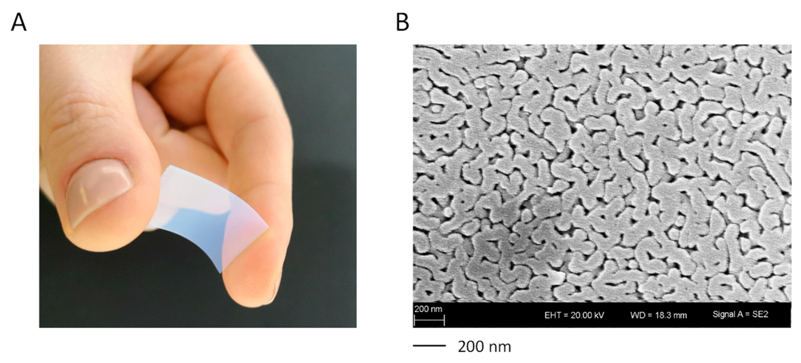 Pharmaceutics 14 01184 g001
