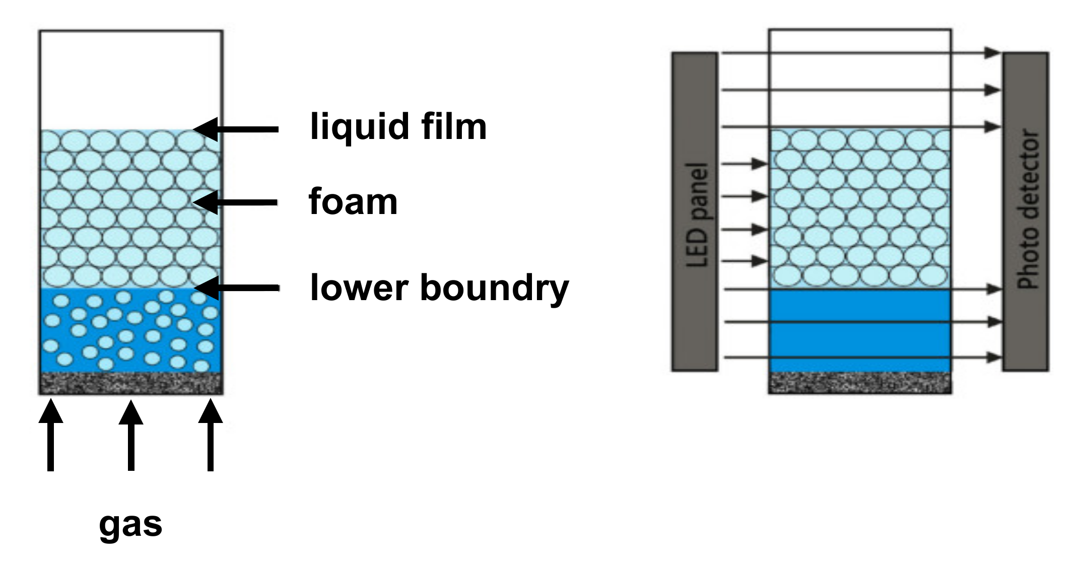 Pharmaceutics 14 01212 g002
