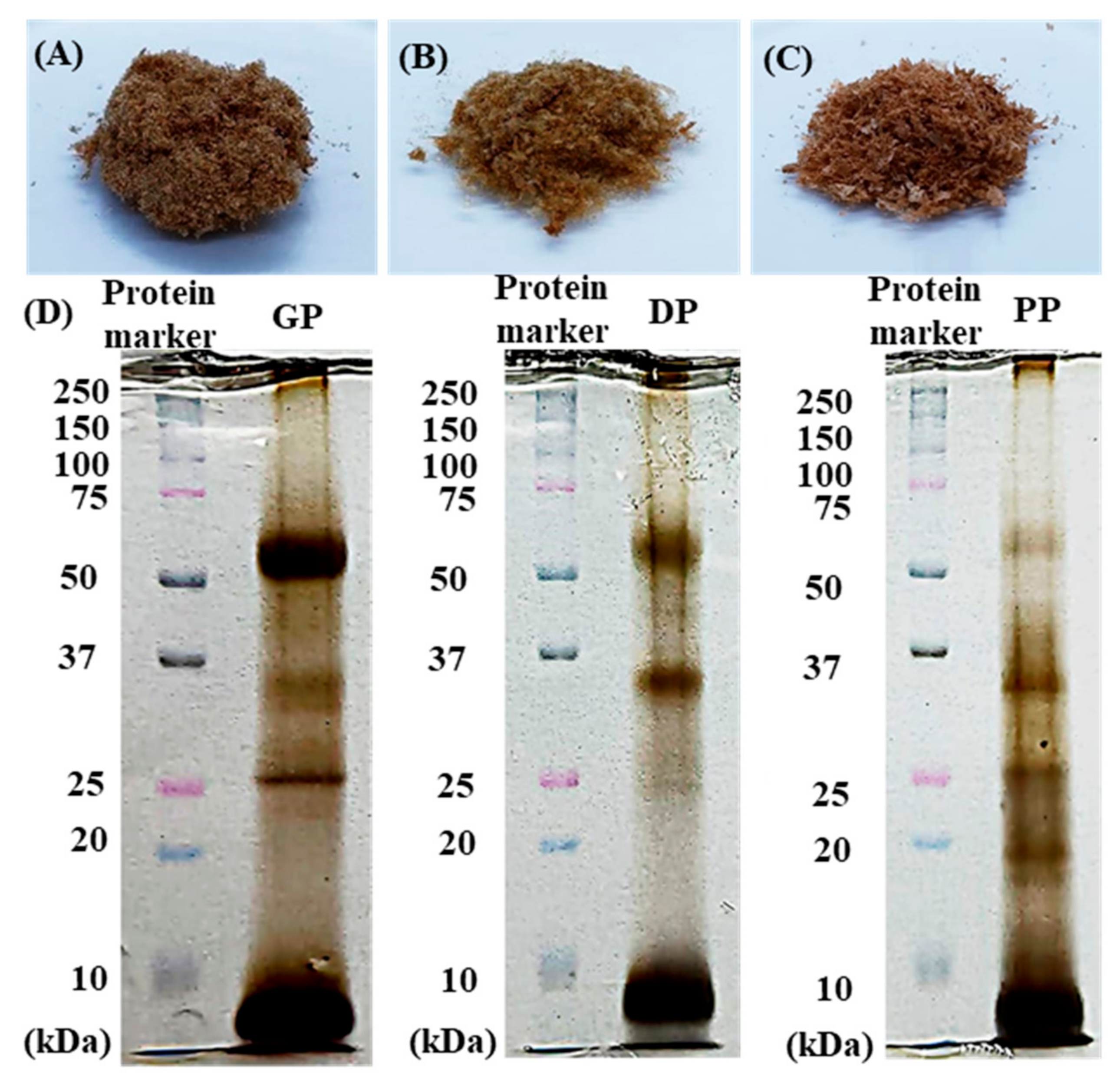 Pharmaceutics 14 01221 g001