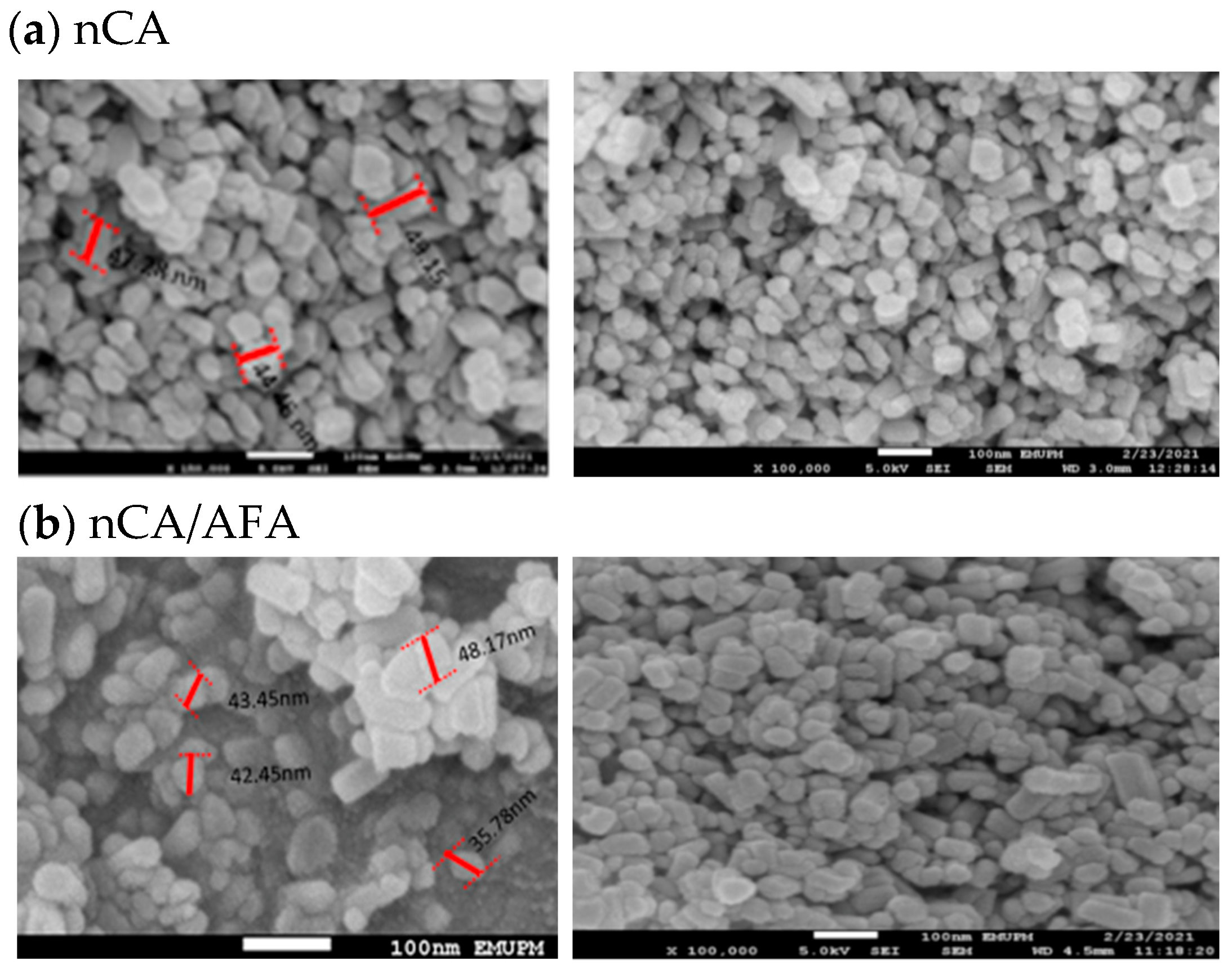 Pharmaceutics 14 01230 g005