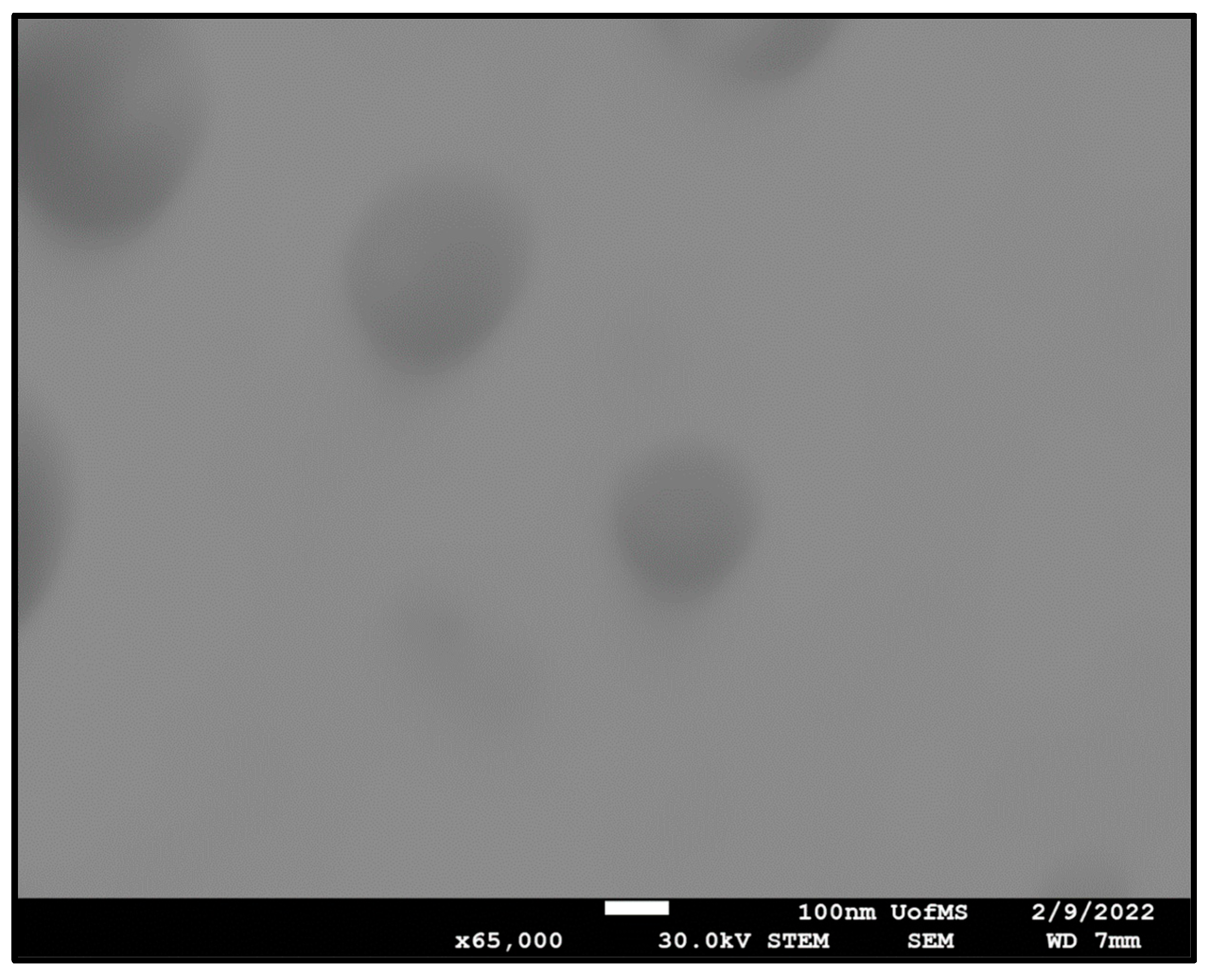 Pharmaceutics 14 01246 g002