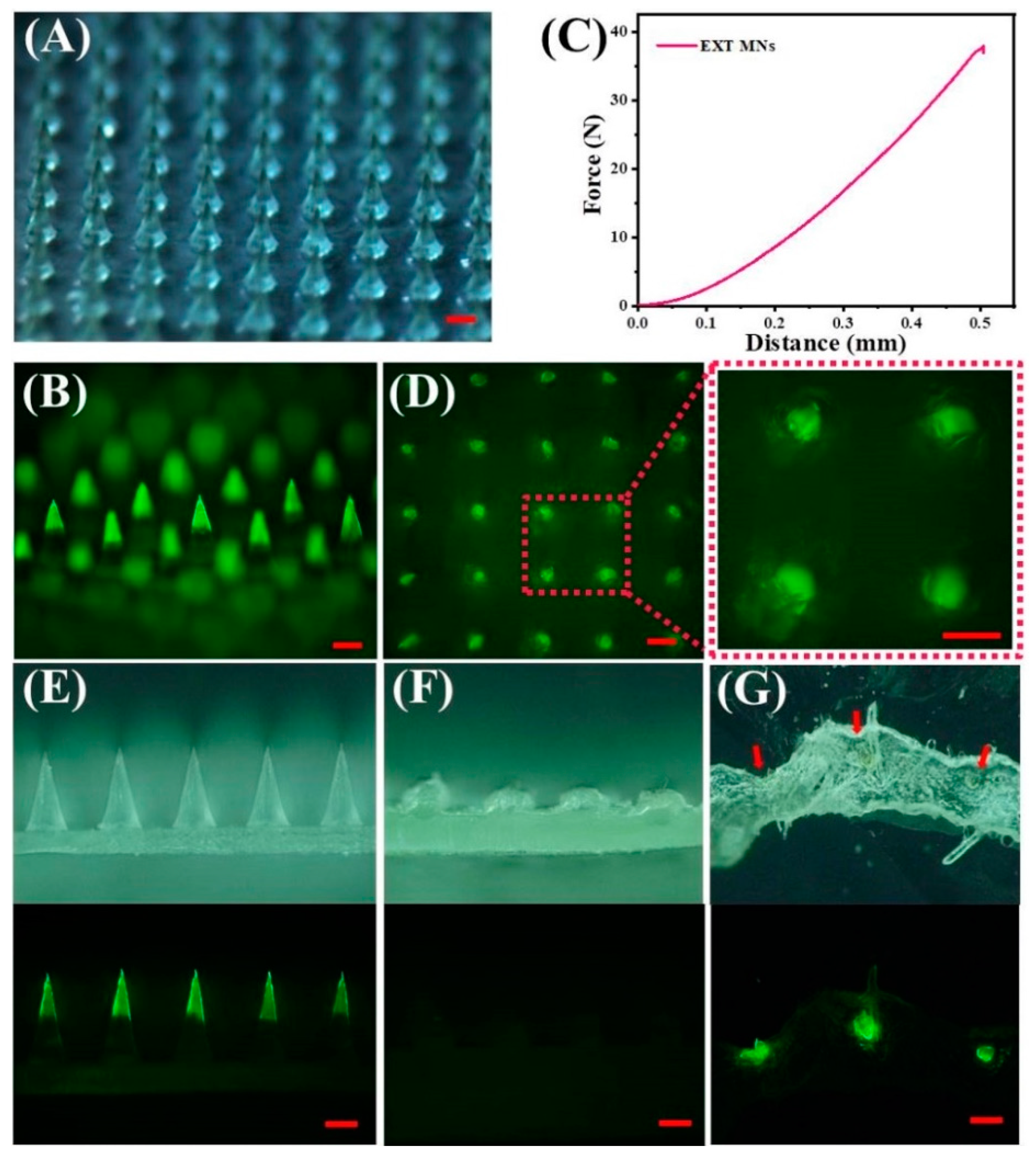 Pharmaceutics 14 01255 g004