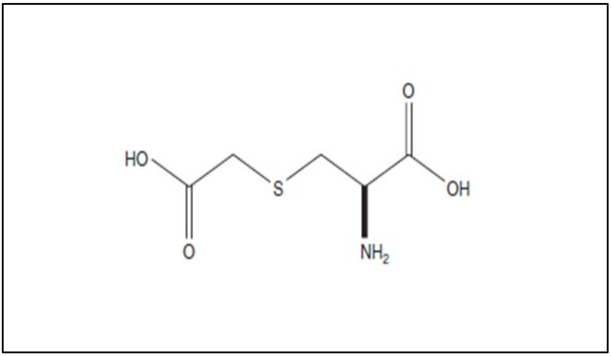 Pharmaceutics 14 01261 g002