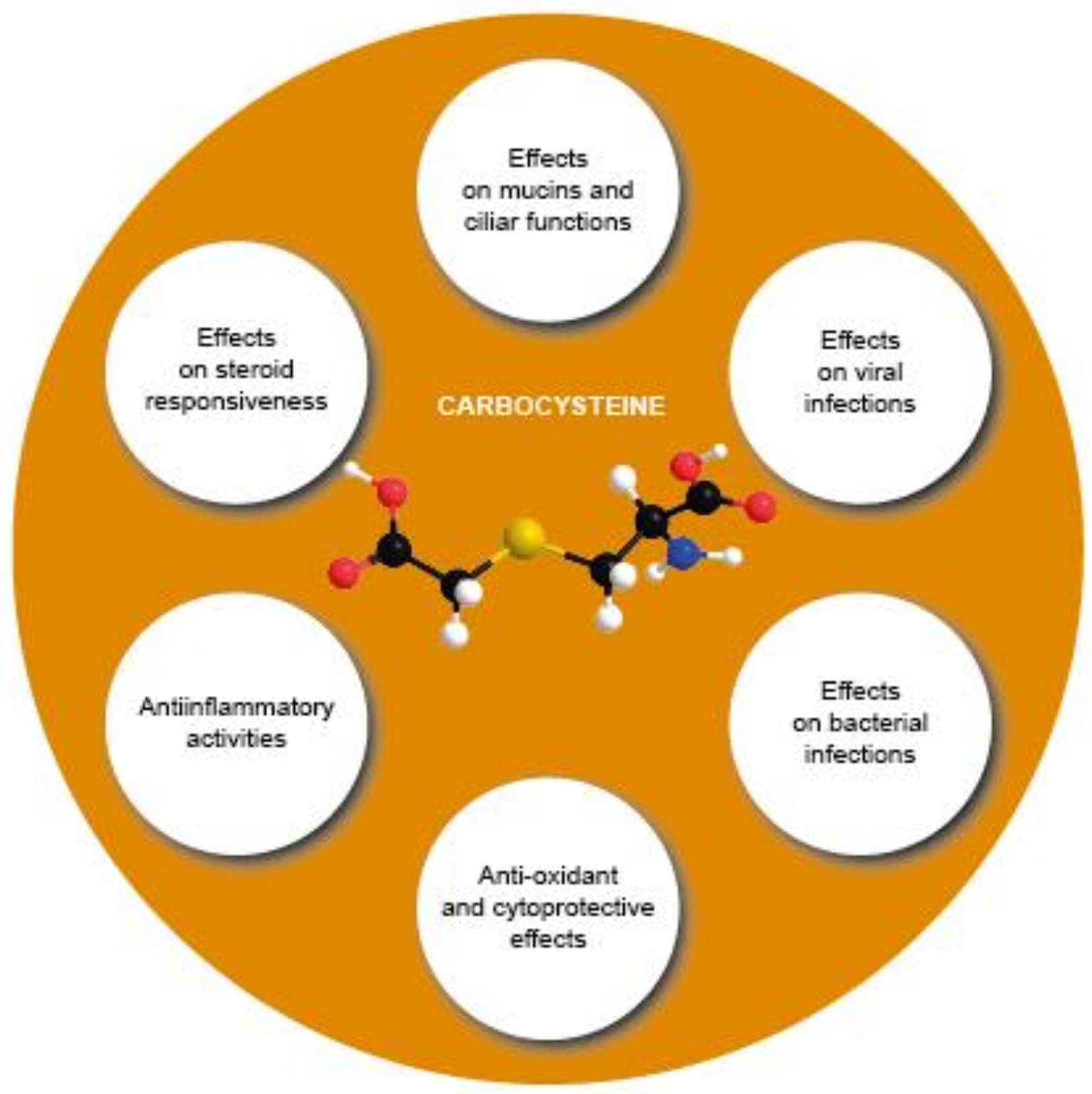 Pharmaceutics 14 01261 g004