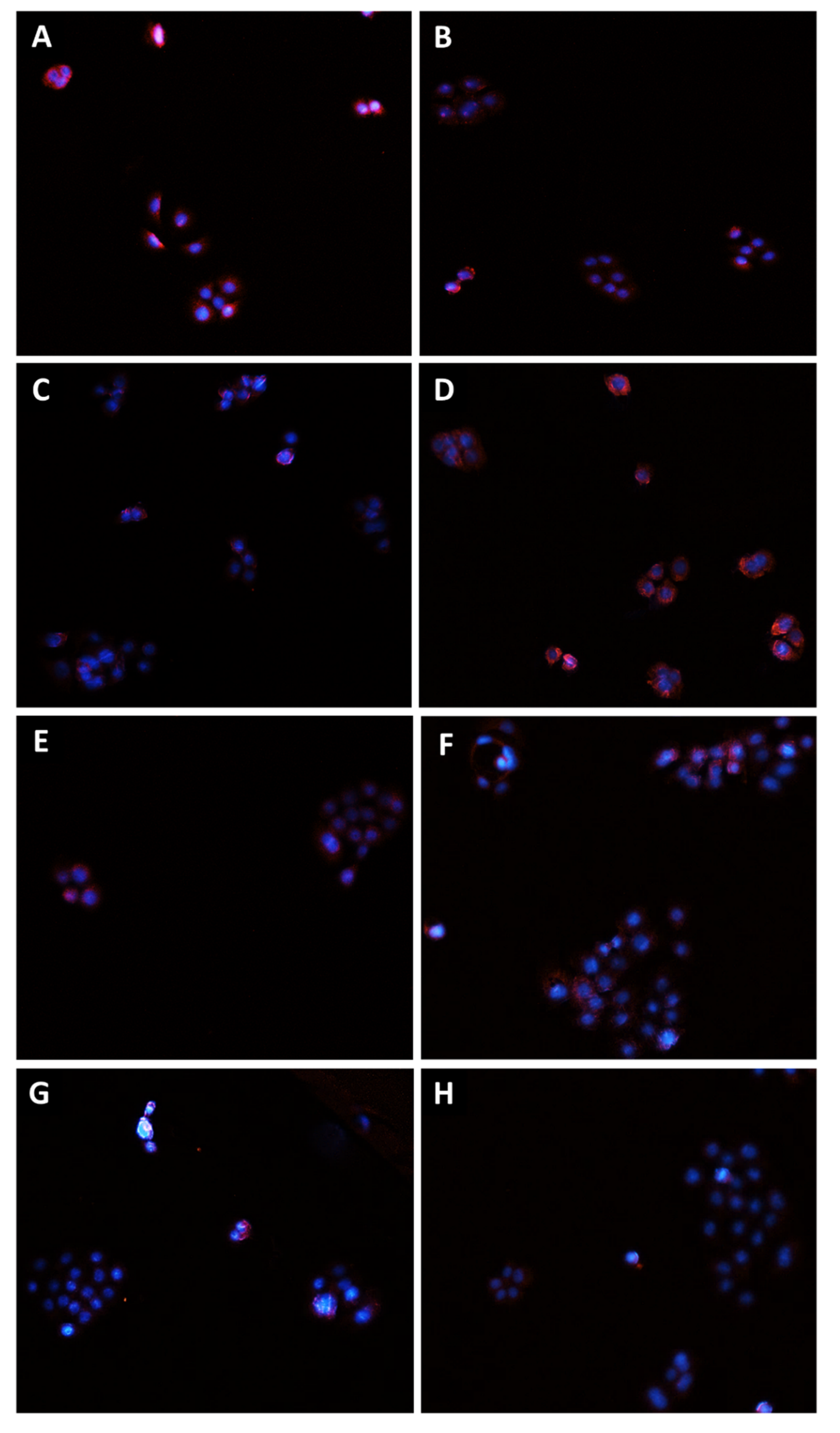 Pharmaceutics 14 01264 g010
