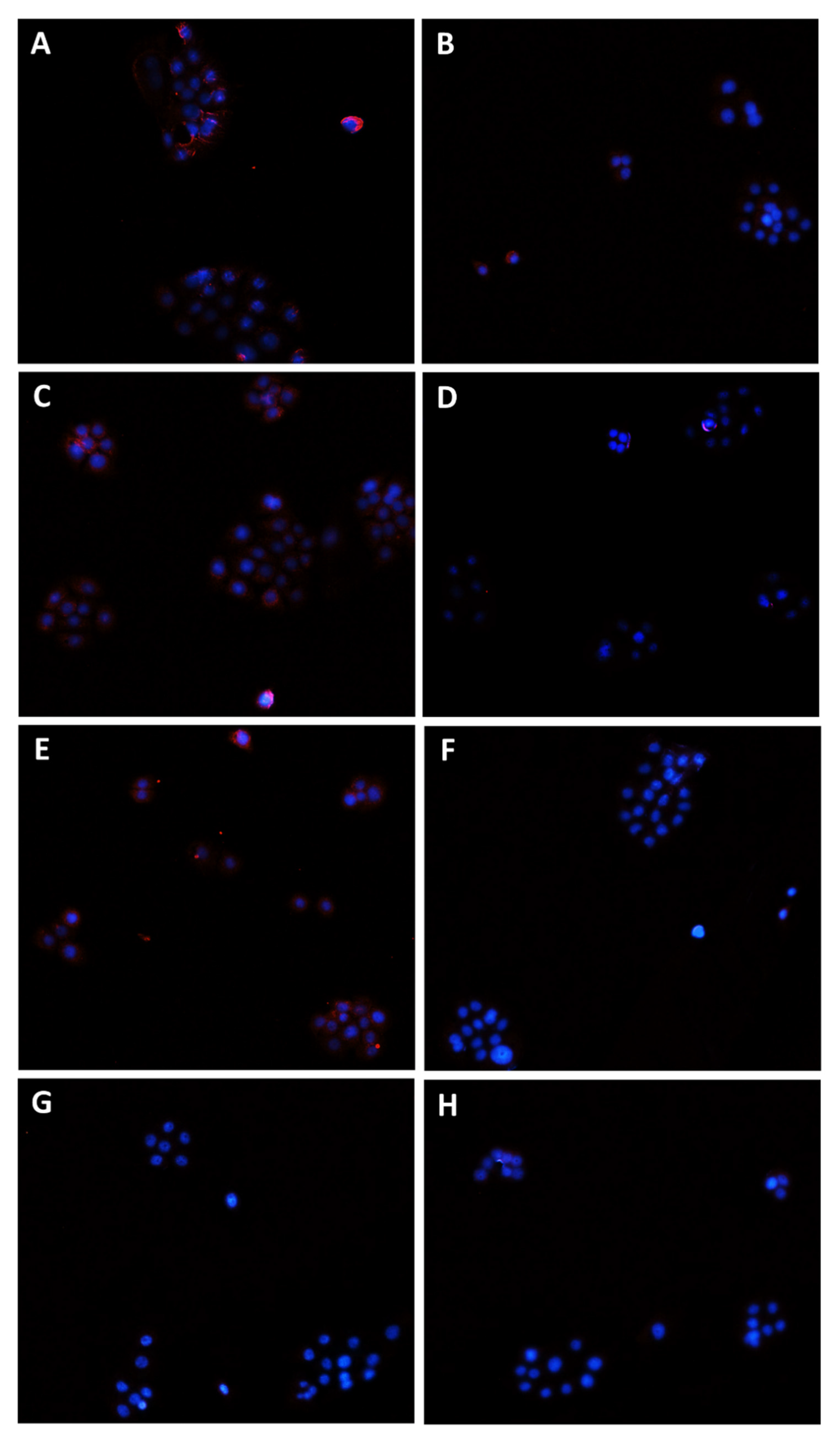 Pharmaceutics 14 01264 g011