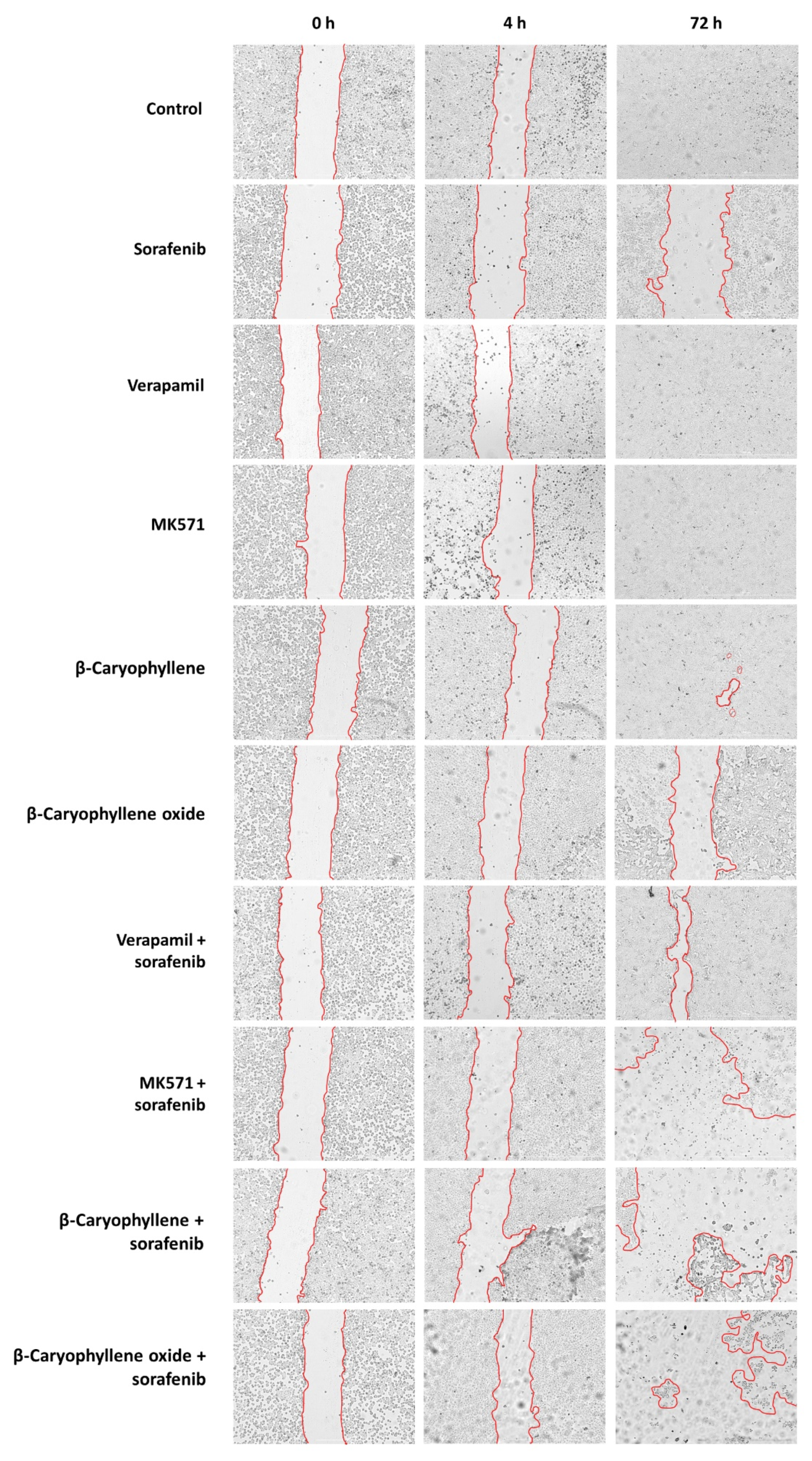 Pharmaceutics 14 01264 g014