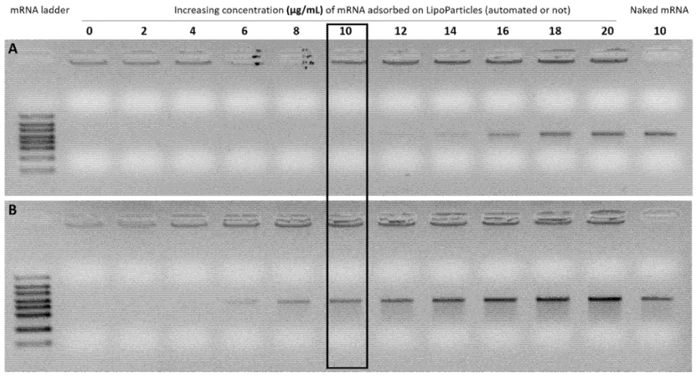 Pharmaceutics 14 01297 g004