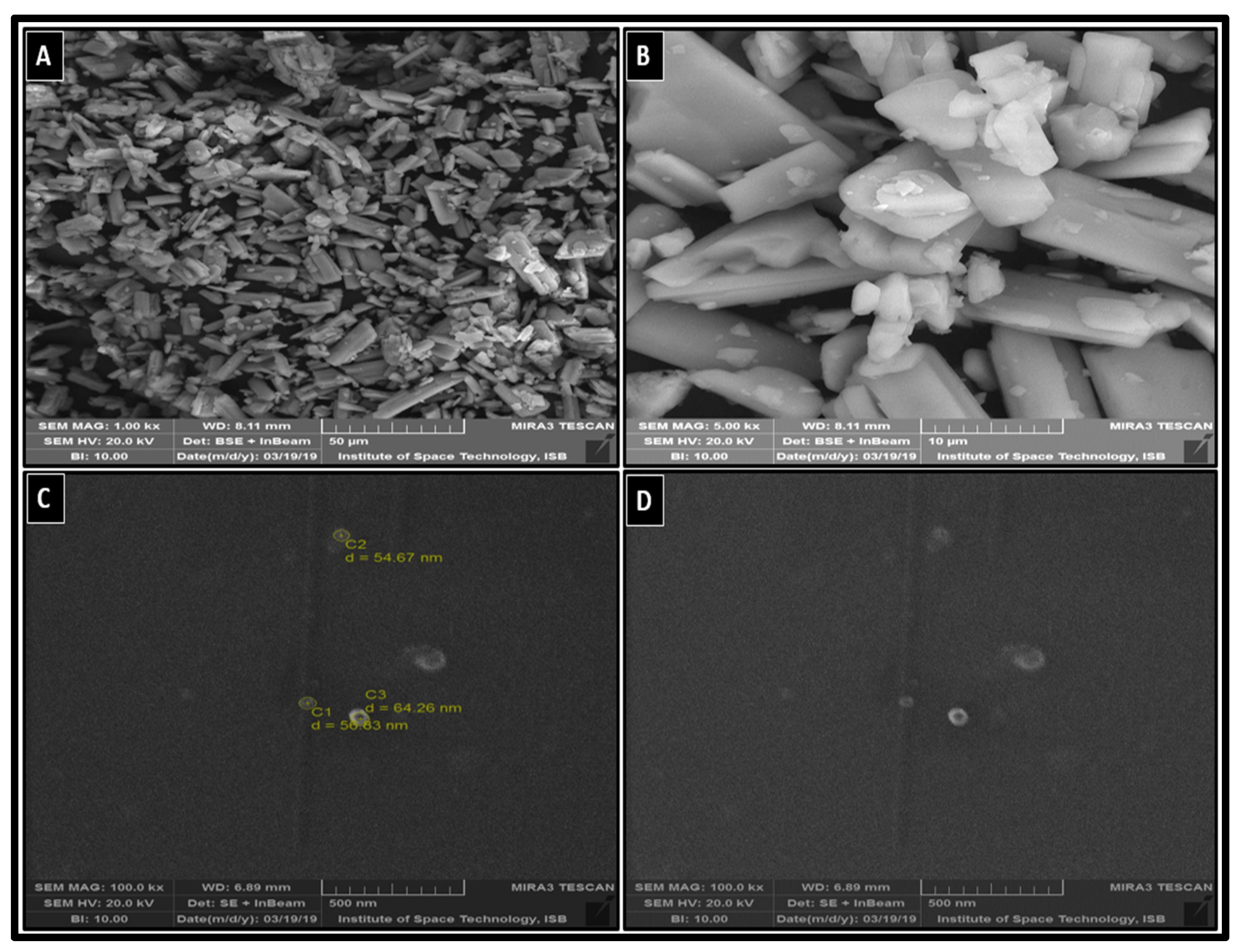 Pharmaceutics 14 01300 g003 Pharmaceutics 14 01300 g003