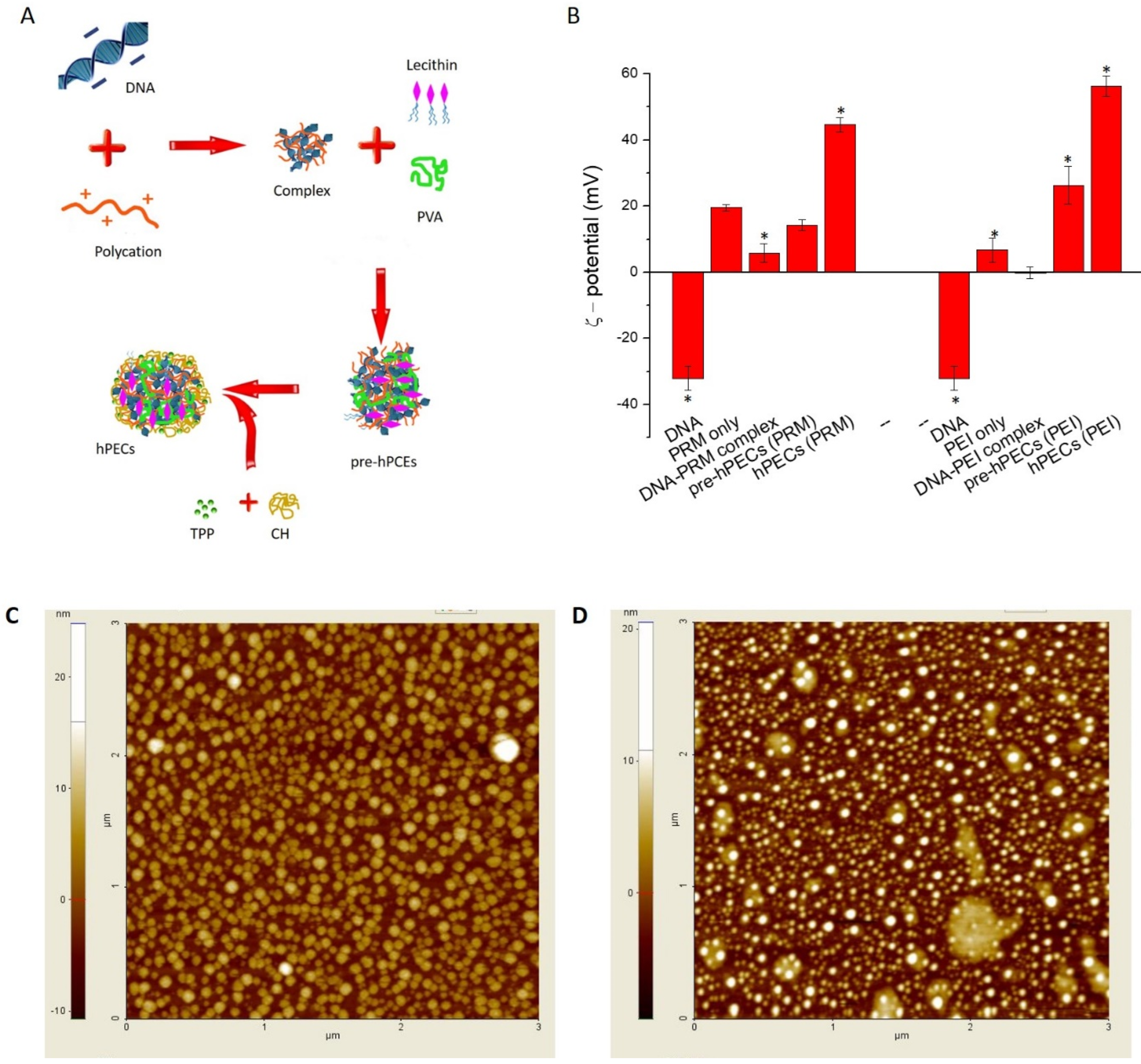 Pharmaceutics Free Full Text Hybrid Polyelectrolyte Nanocomplexes For Non Viral Gene Delivery With Favorable Efficacy And Safety Profile Html