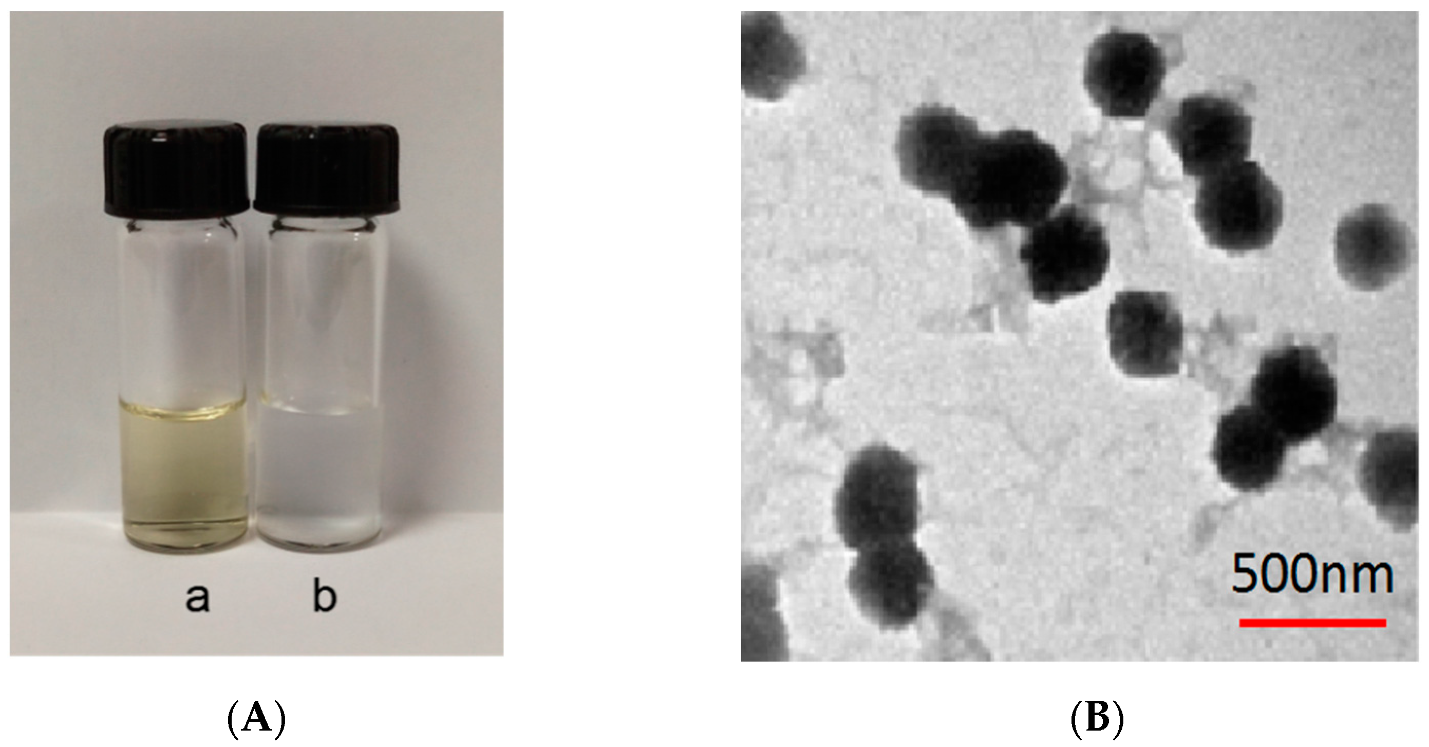 Pharmaceutics 14 01337 g009