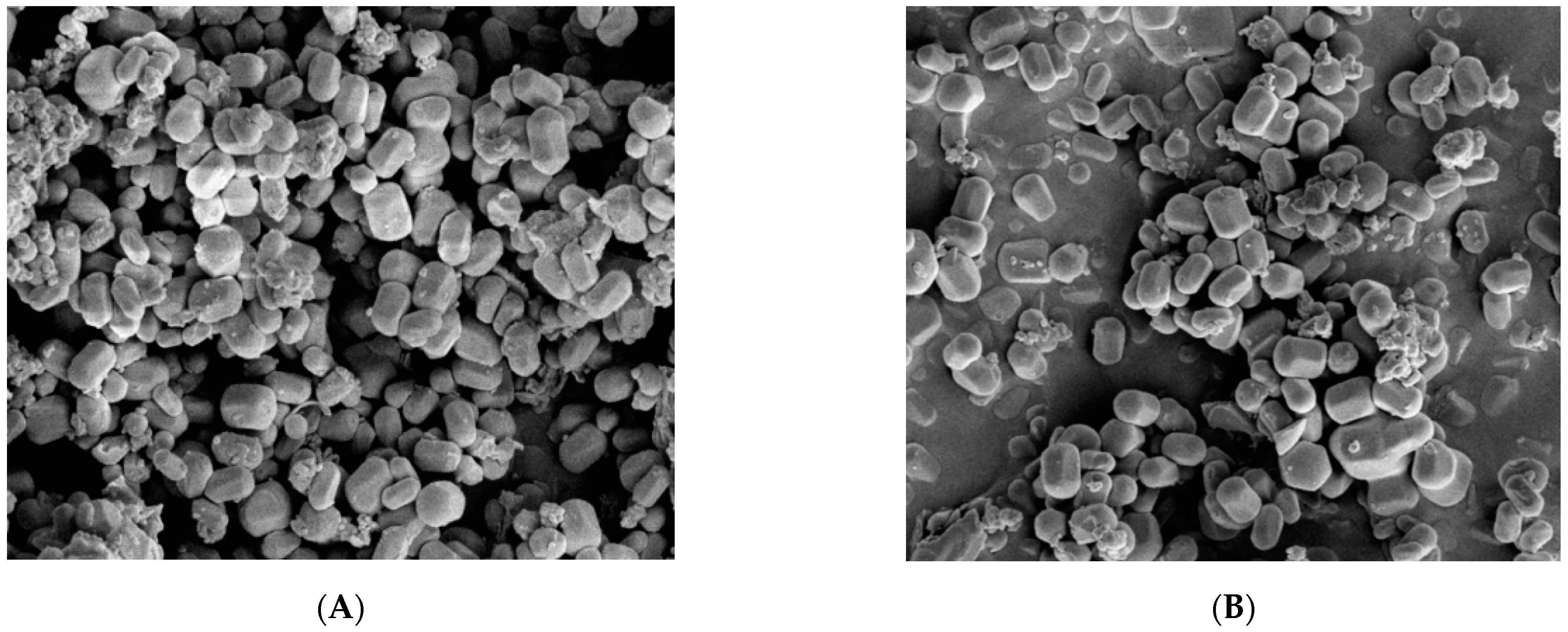 Pharmaceutics 14 01337 g010