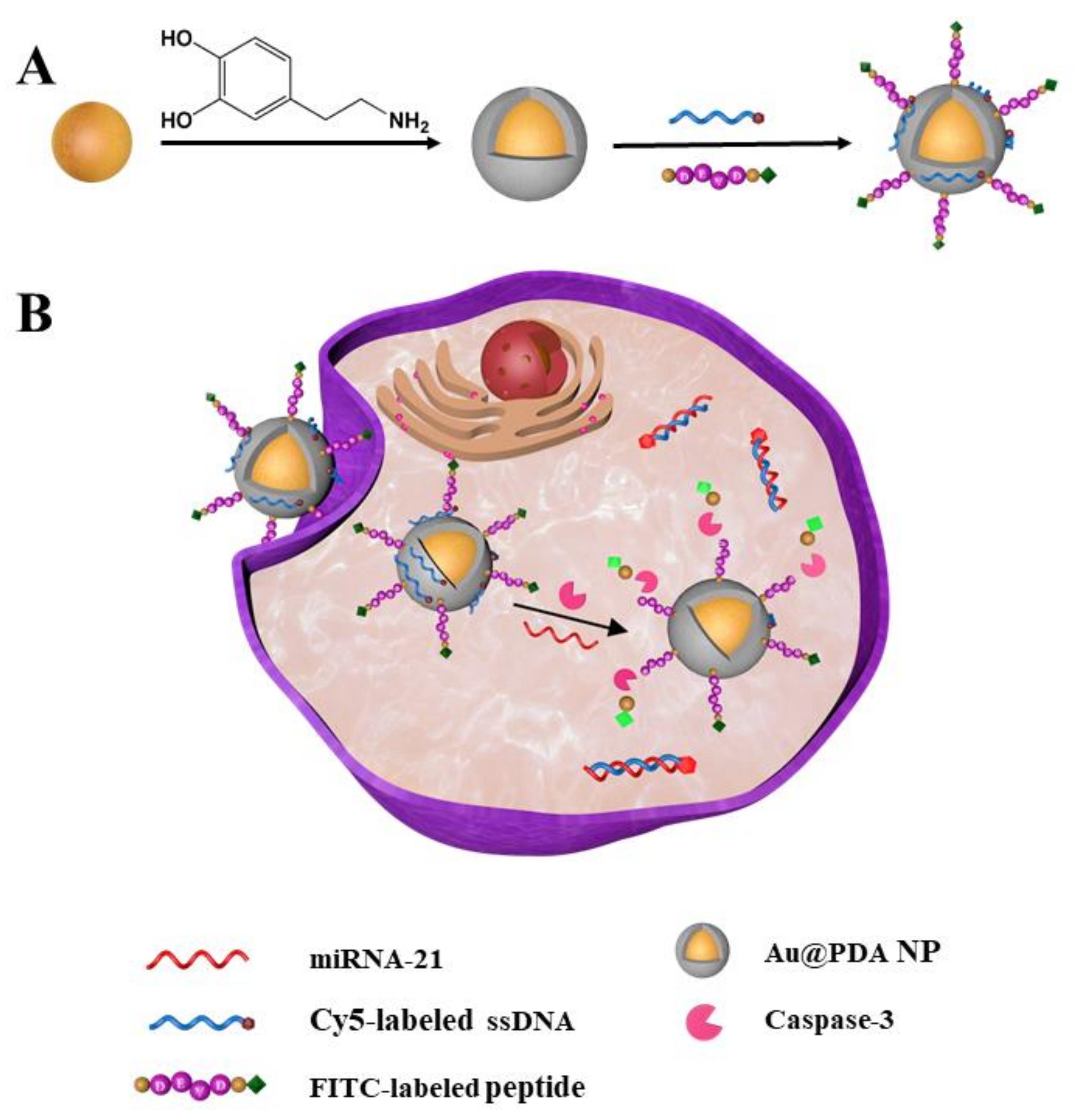 Pharmaceutics 14 01349 sch001