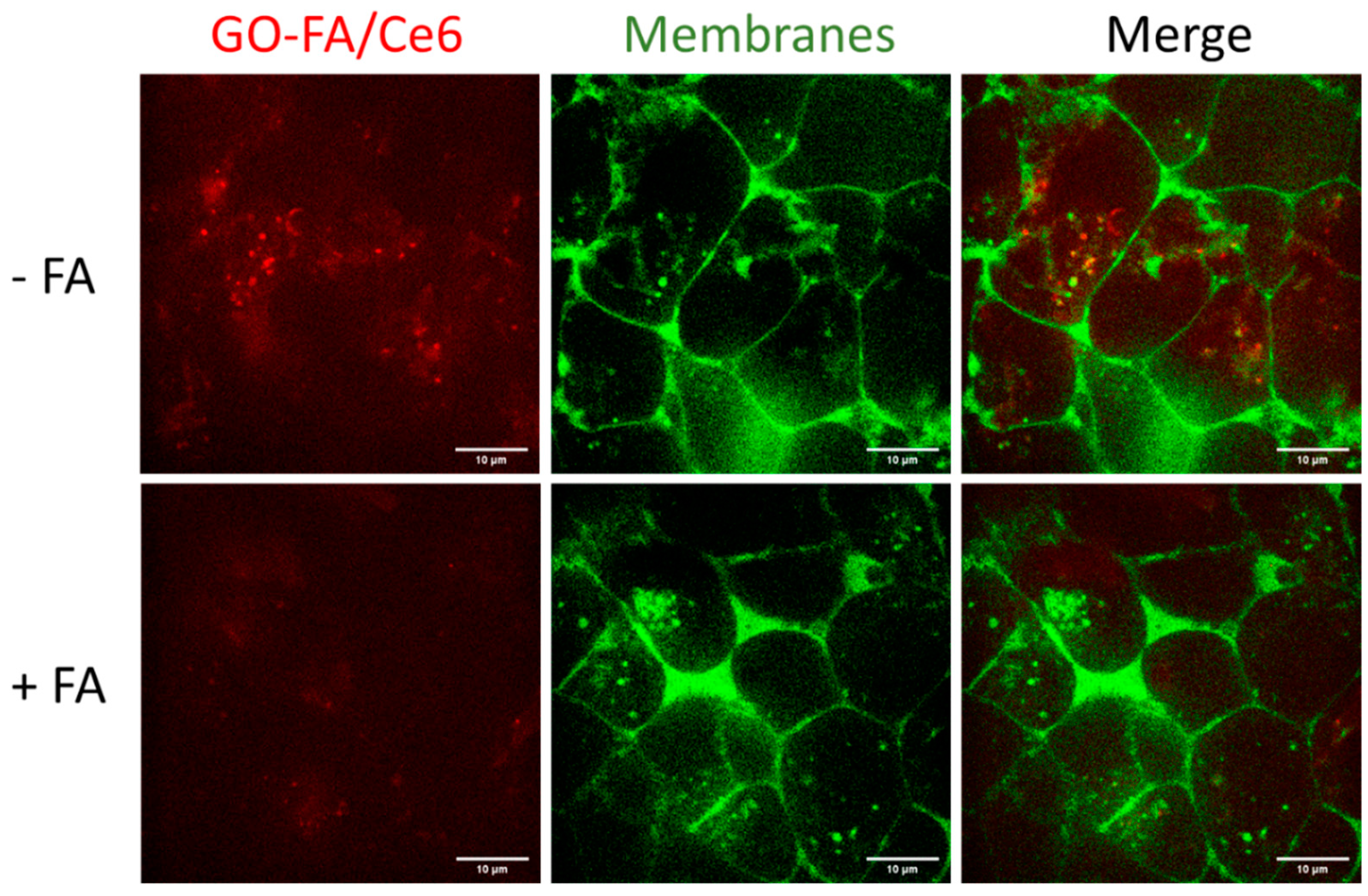 Pharmaceutics 14 01365 g005