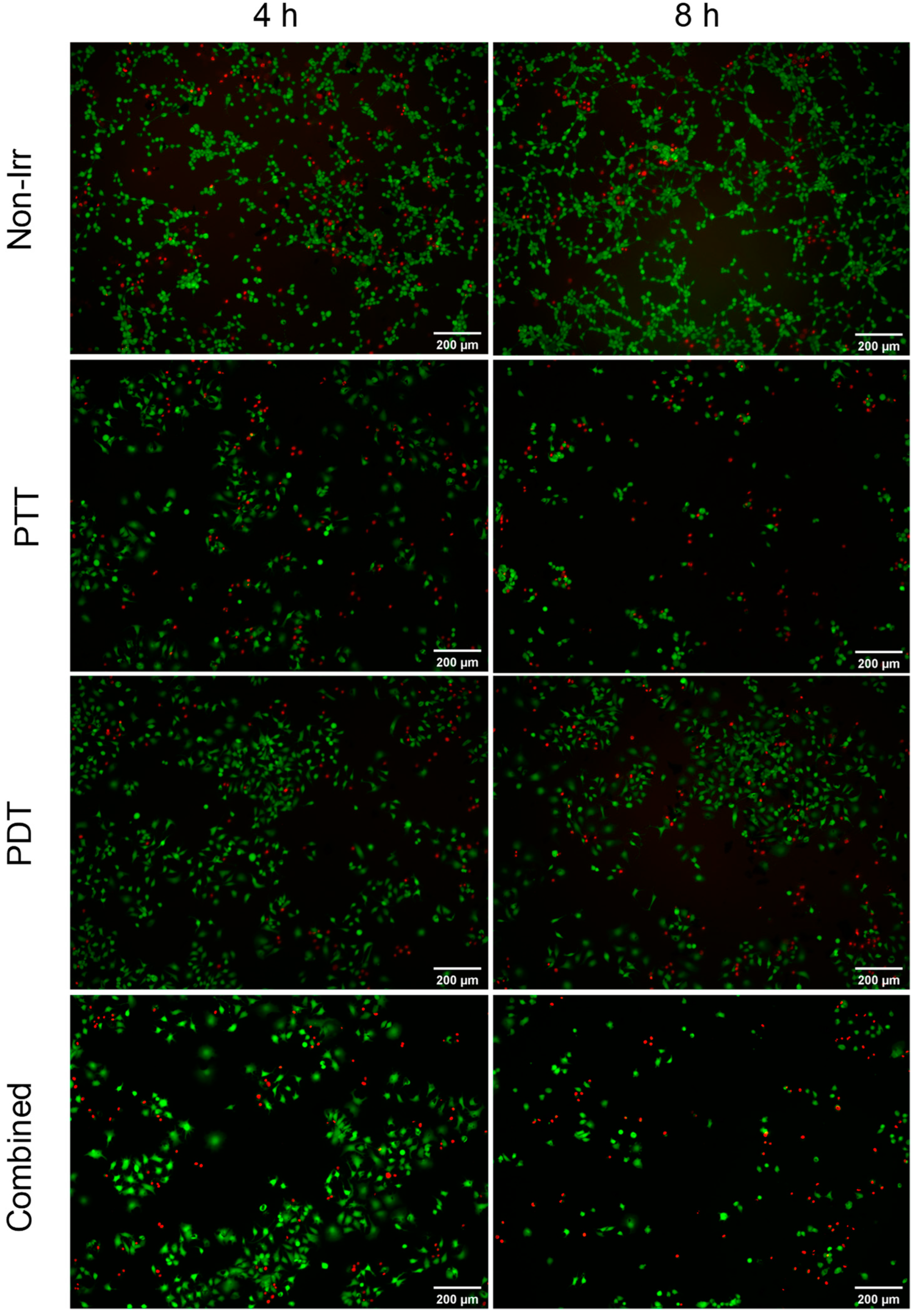 Pharmaceutics 14 01365 g007