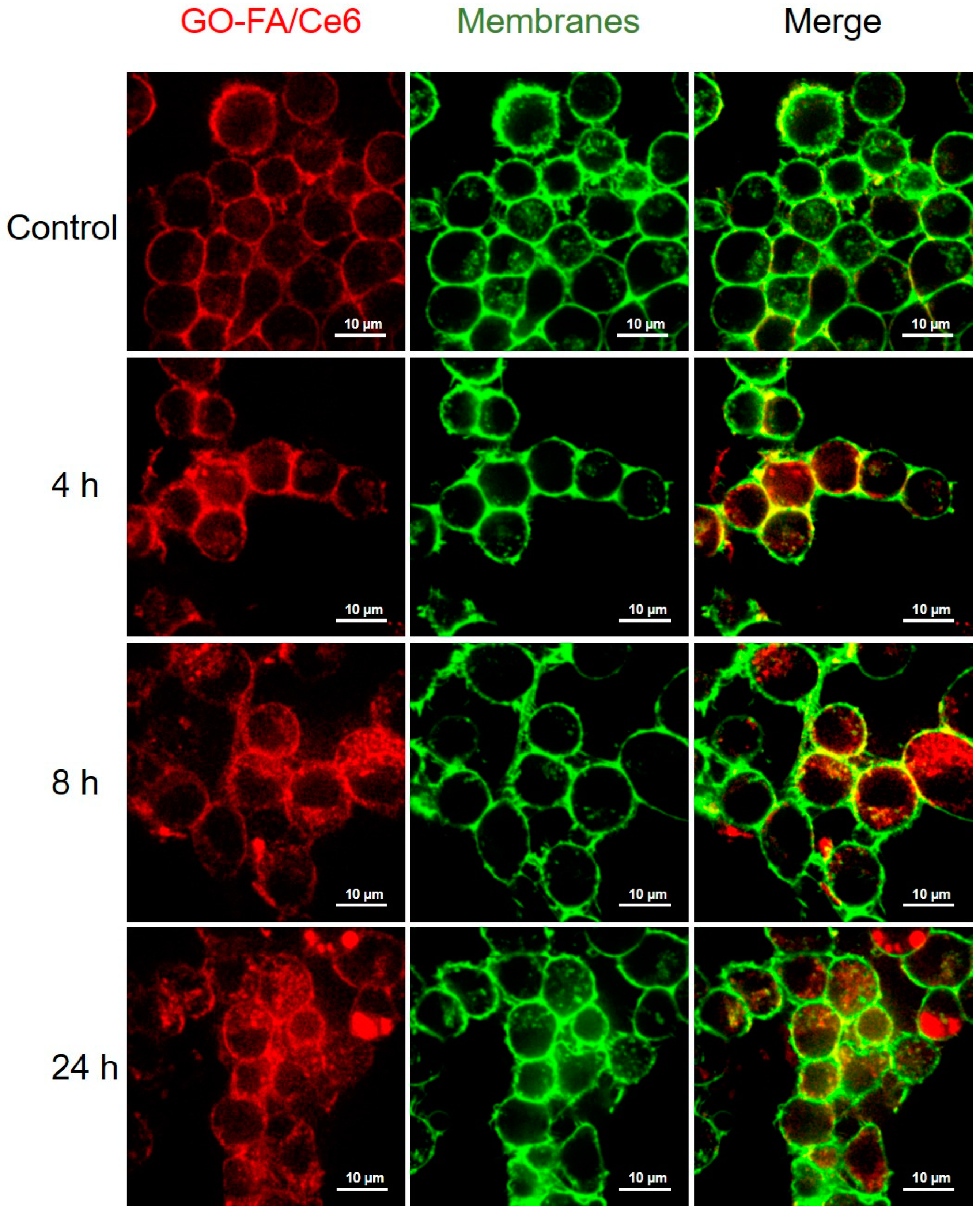 Pharmaceutics 14 01365 g009
