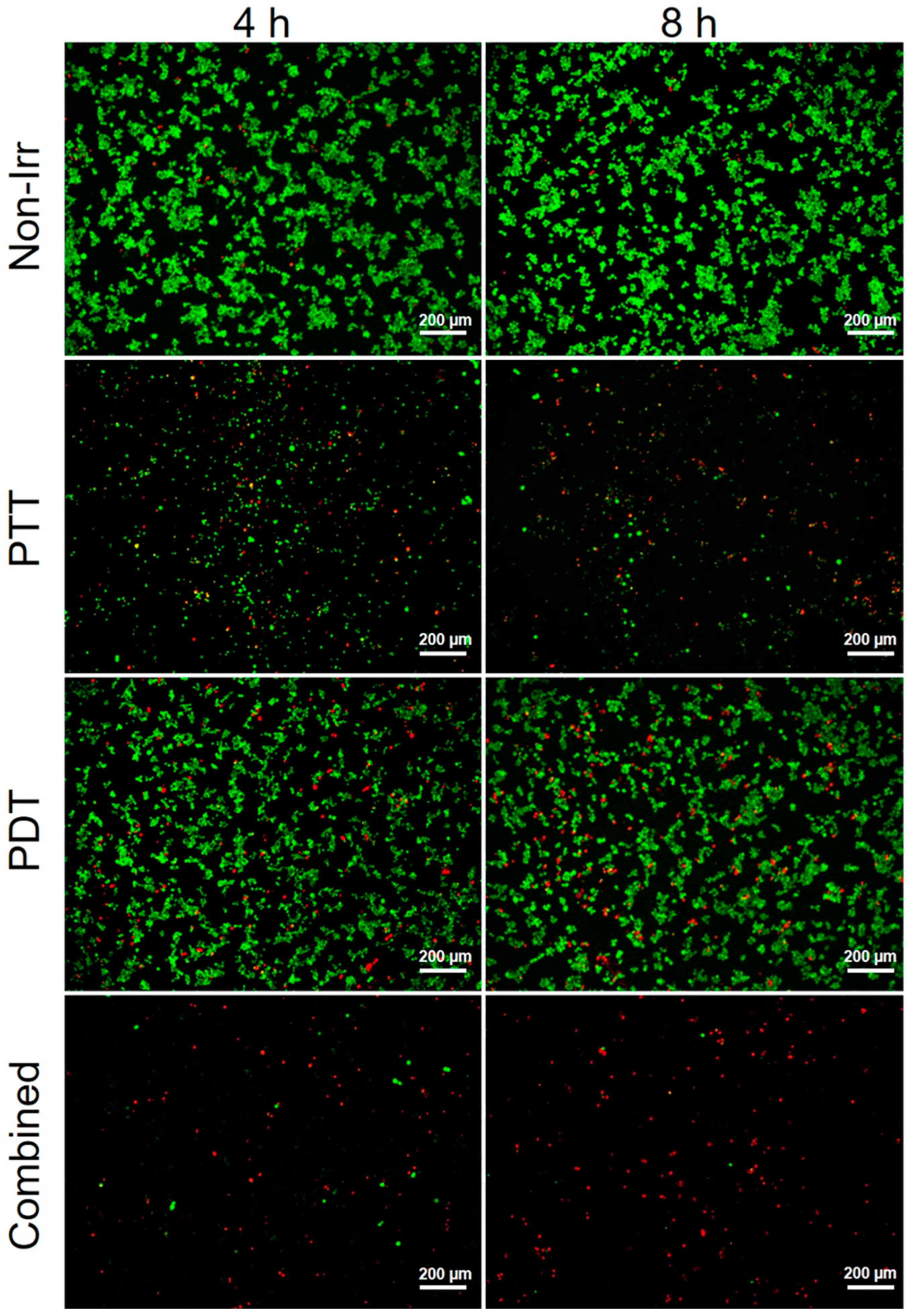 Pharmaceutics 14 01365 g010