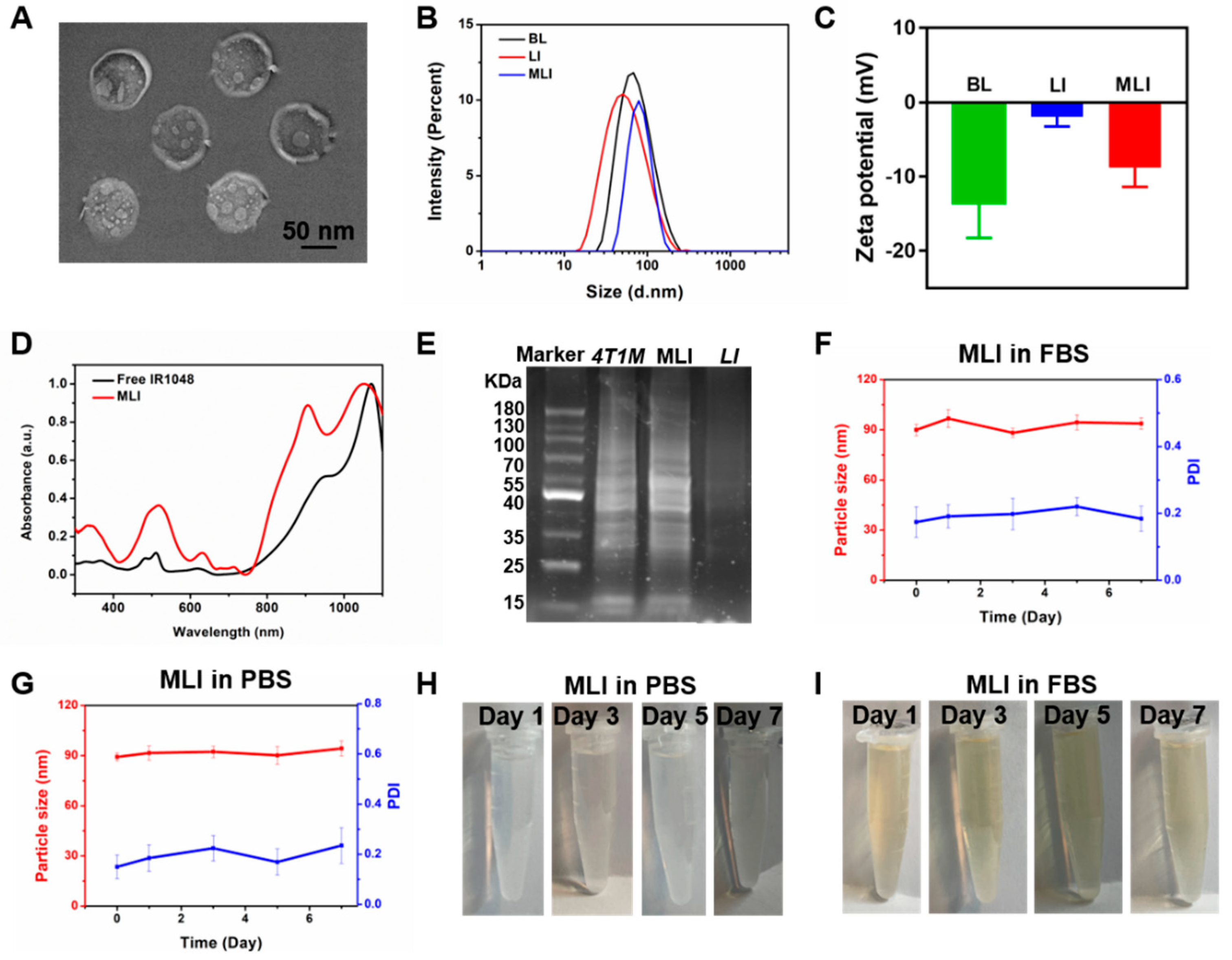 Multiplexed Analysis of the Cellular Uptake of Polymeric Nanocarriers