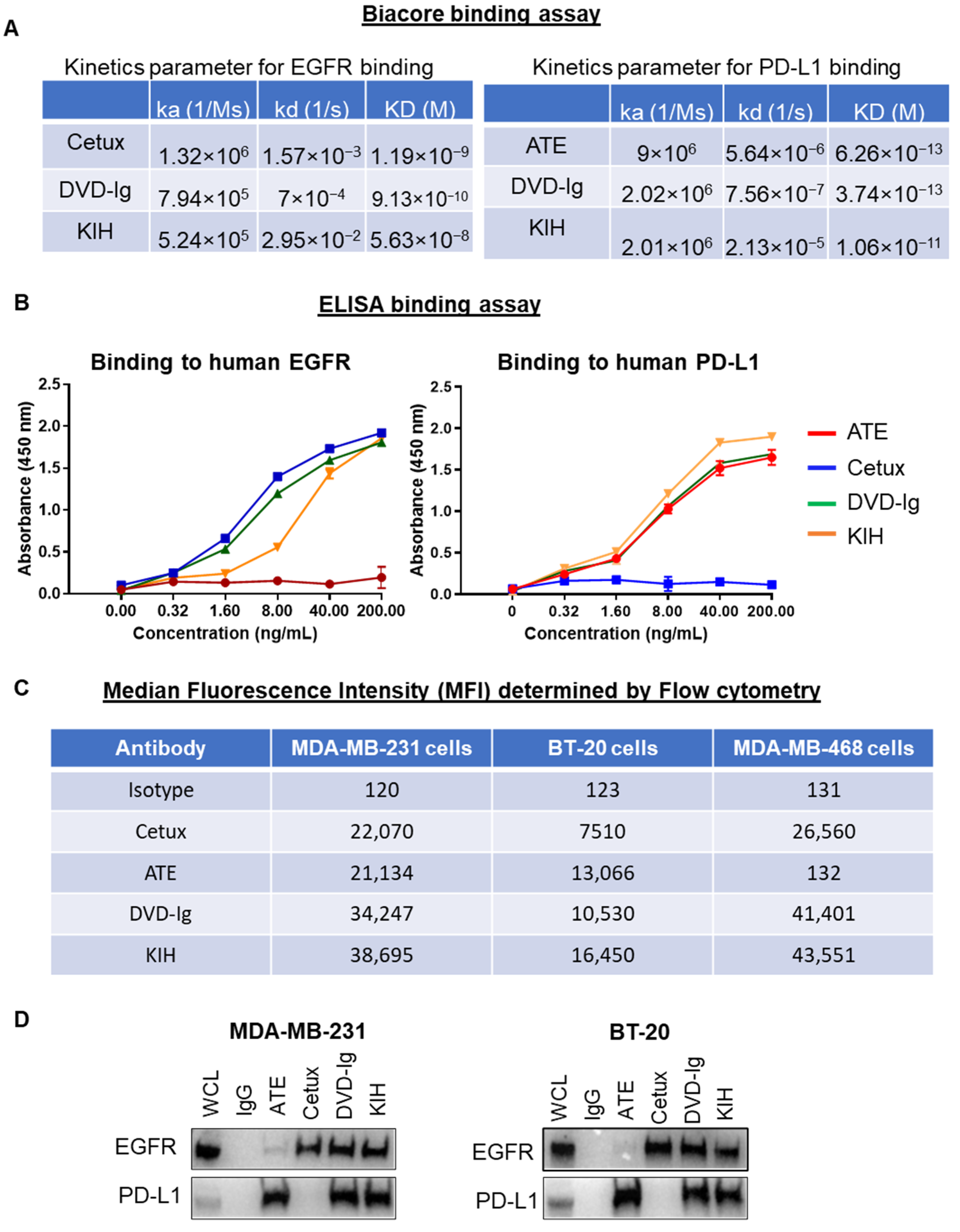 Pharmaceutics 14 01381 g002
