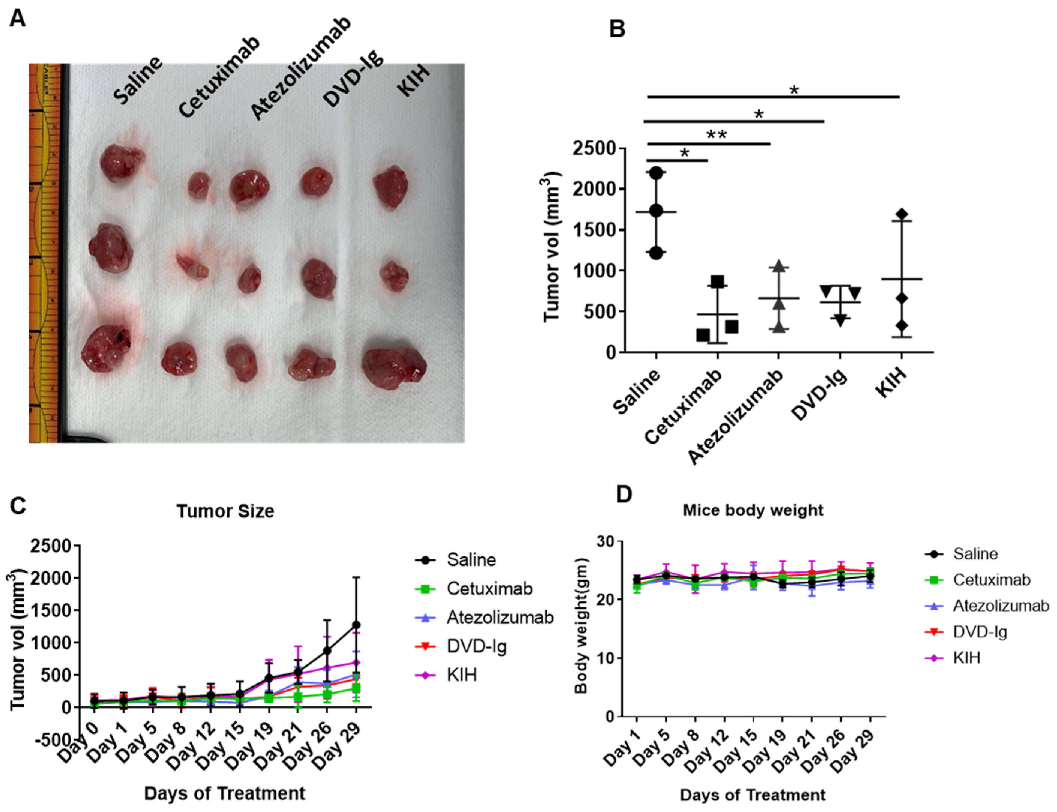 Pharmaceutics 14 01381 g009