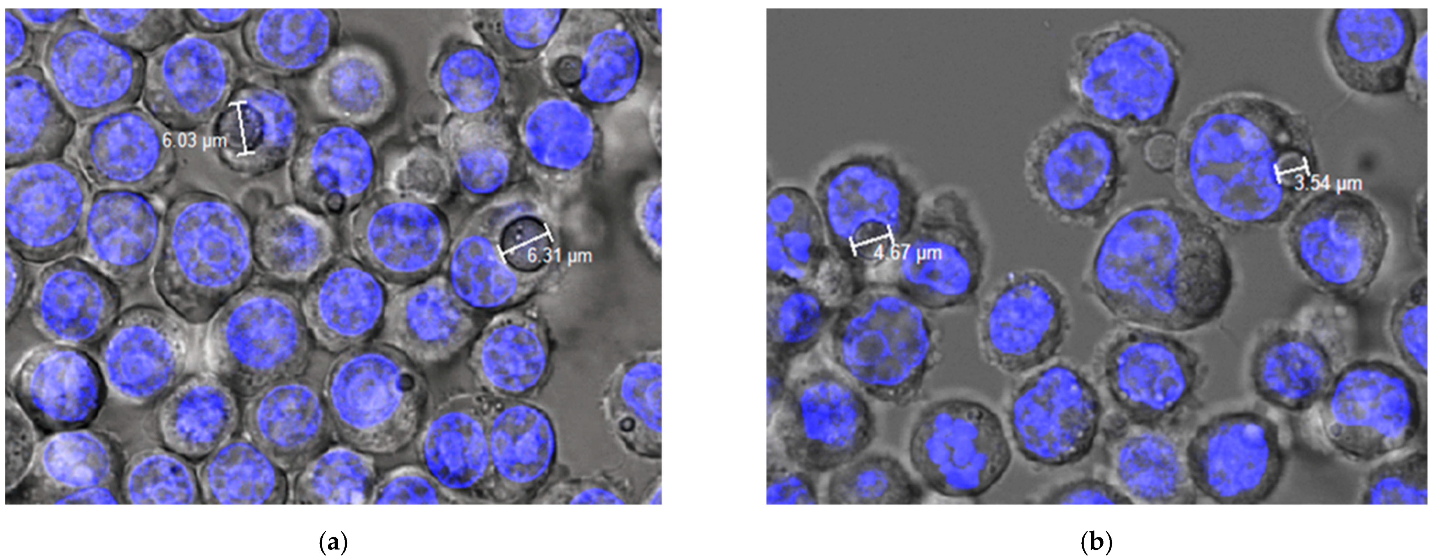 Pharmaceutics 14 01392 g006